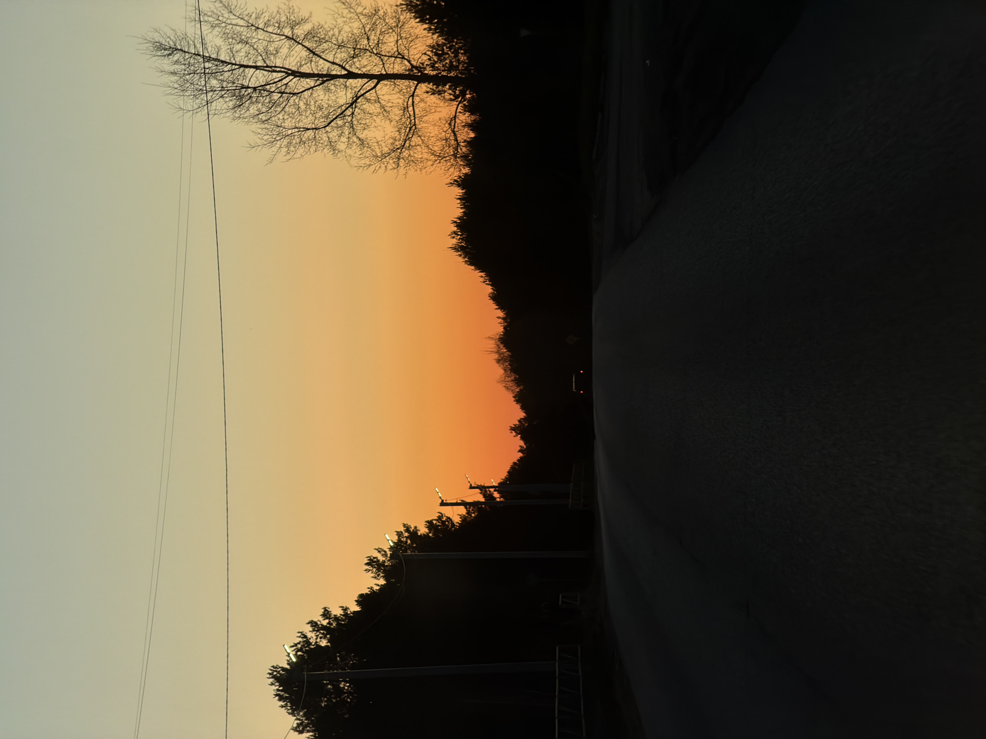 The image depicts a road in the city of Chaikovsky, Russia, at sunset. The sky exhibits a gradient from light yellow to orange near the horizon. Silhouetted trees line the left side of the road. Utility poles with streetlights are present along the roadside. The road surface occupies the right side of the frame and appears dark. Bare branches of a tree extend into the upper left of the image. A vehicle’s tail lights are faintly visible in the distance.