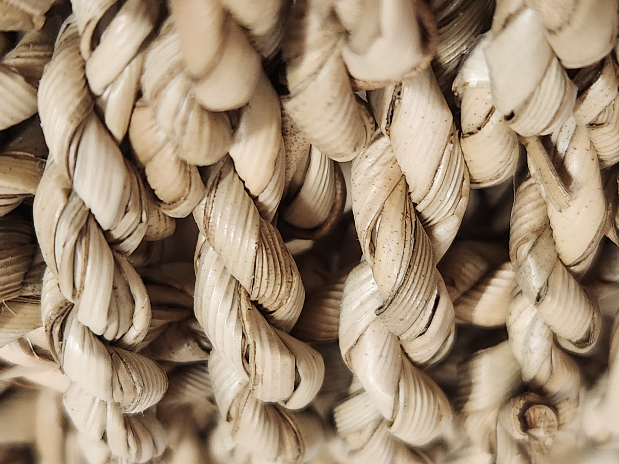 The image shows a close-up, abstract view of woven natural fibers, likely from a basket or similar decorative item. The fibers are light brown and cream-colored, with a visible texture of twisted strands. The lighting highlights the ribbed surface of the weave, creating shadows and highlights that emphasize its three-dimensional quality. The background is out of focus, suggesting a shallow depth of field. There are no people, animals, or signs of human activity visible in the image. The image depicts an object rather than a scene from any specific location in Maitland, United States of America.