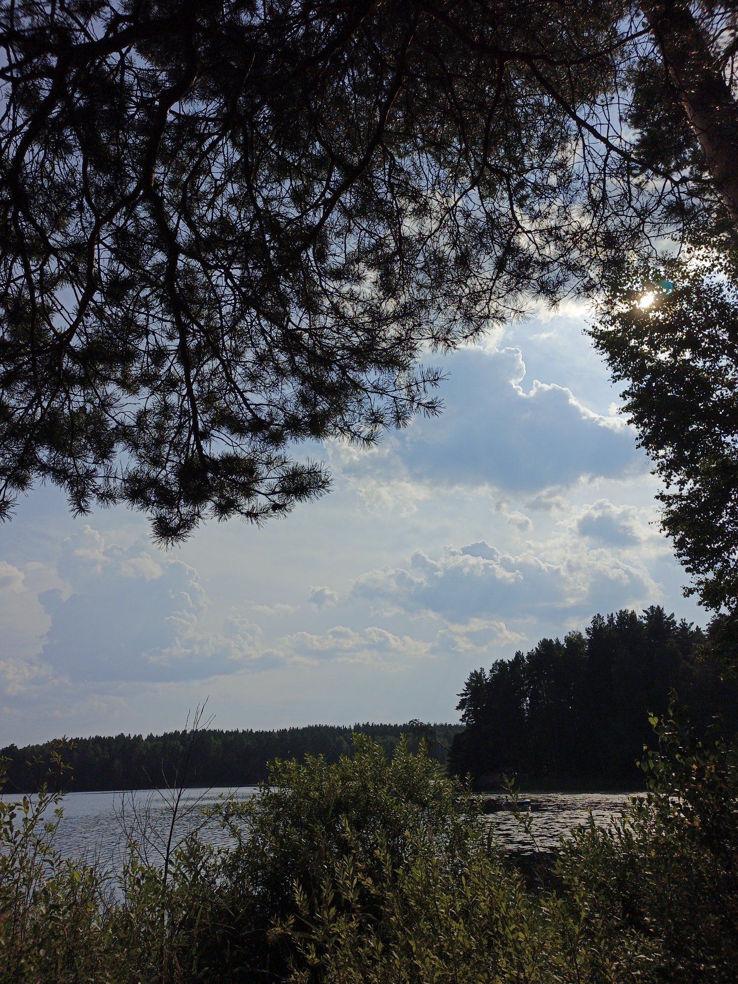 The image depicts a natural landscape at the lake in Sarafanovo, Russia. The foreground is dominated by dense, dark green foliage and branches of trees, partially obscuring the view. In the midground, a calm body of water stretches out, reflecting the sky. Across the lake, a dark, dense forest line marks the horizon. Above, the sky is a dynamic mix of blue and white clouds, with rays of sunlight breaking through, creating a dramatic effect. The overall impression is one of a serene, wild, and picturesque natural setting.