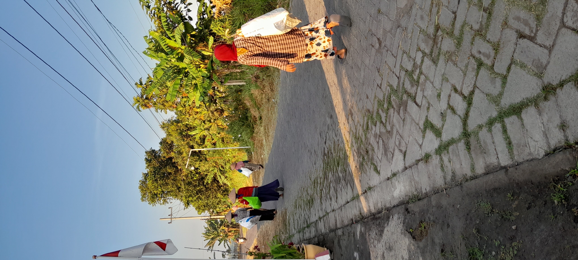 A person wearing a red hijab and a checkered shirt walks away from the camera down a paved road in Tambakrejo, Indonesia. They are carrying a large white bag over their right shoulder. The road is lined with grass growing between the paving stones and dense green foliage on the right side of the image. In the distance, three other people, also women, walk in the same direction. One of them is carrying a bright green bag. A flagpole with an Indonesian flag is visible on the left side of the image, along with a motorcycle in the far distance. The scene is lit by the warm glow of what appears to be early morning or late afternoon sun.