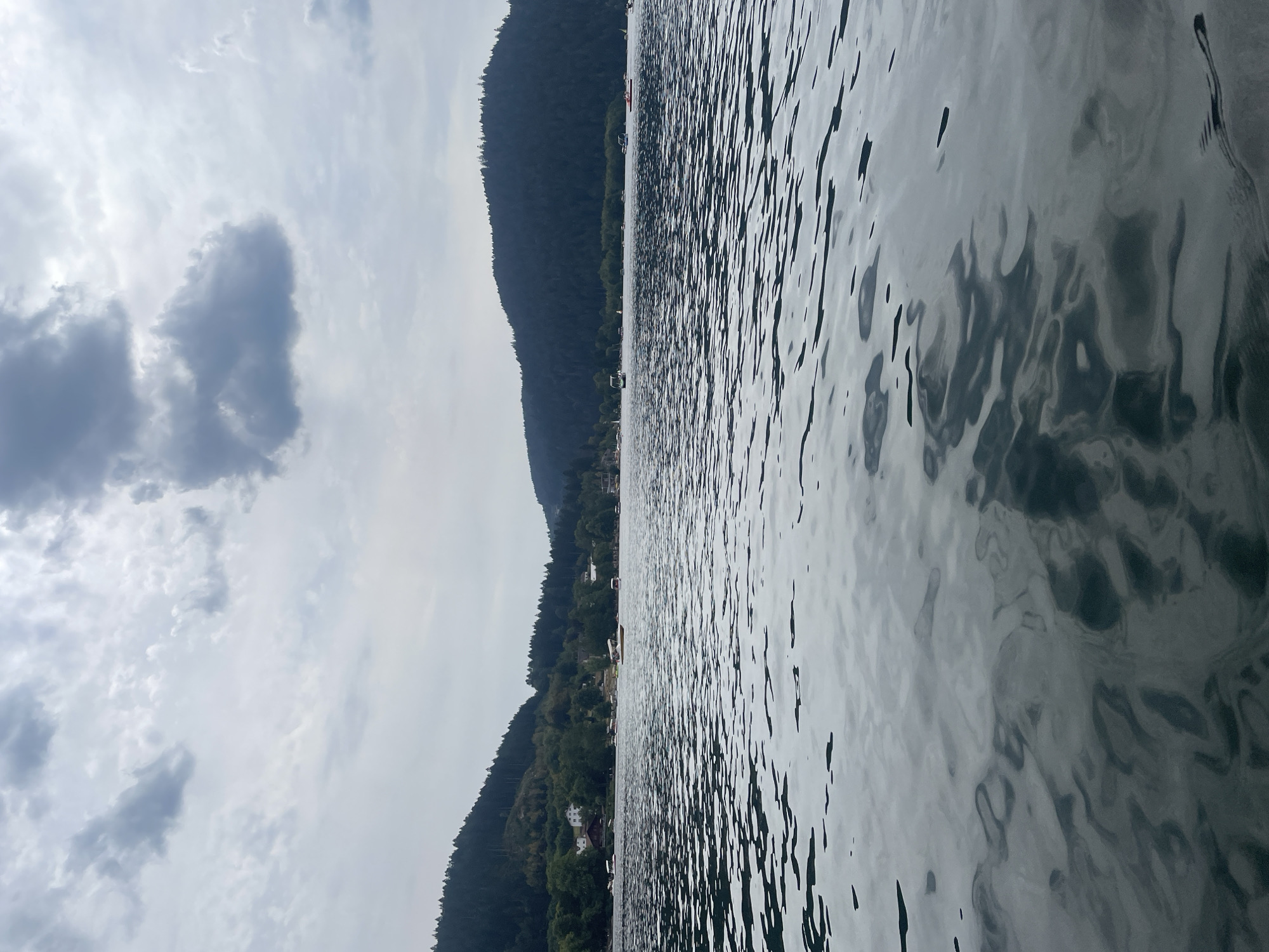 The image depicts a body of water, likely a lake, with forested hills rising on either side of the far shore. The water's surface is rippled, reflecting the overcast sky and the dark green of the trees. Several small boats are scattered across the water, some appearing to be paddle boats or small motorboats. Buildings, possibly houses or vacation rentals, are visible nestled amongst the trees on the left side of the frame. The sky is filled with a mix of grey clouds, with some brighter patches suggesting diffused sunlight. The scene conveys a sense of tranquility and natural beauty.
This image is likely of the lake in Gérardmer, France, given the typical landscape of the Vosges mountains which feature similar forested hills and lakes.
