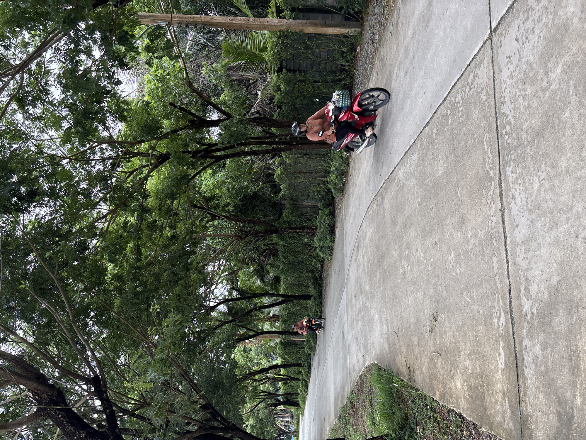 The image shows a paved road lined with lush green trees on both sides, creating a tunnel-like effect. A woman wearing a helmet and an orange long-sleeved shirt is riding a red motorcycle with a basket in front, in the foreground on the right side of the road. In the background, another person on an orange motorcycle is visible further down the road on the left. The road appears to be in a semi-rural or suburban area, with dense vegetation and a stone wall bordering the right side of the road. The scene is illuminated by natural daylight, suggesting it was taken outdoors in the city of Sakhu, Thailand.