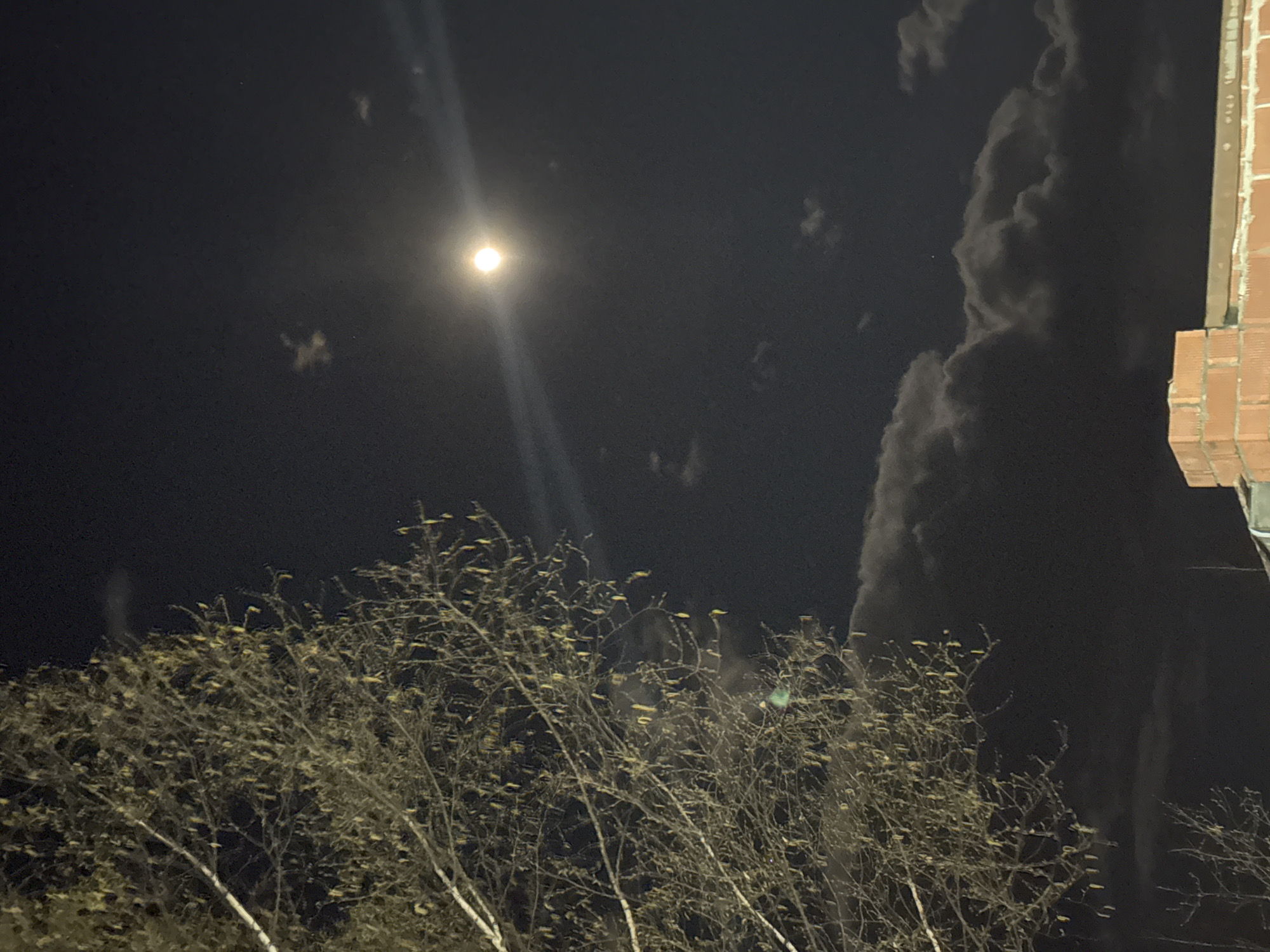 This nocturnal image captures a serene outdoor scene, dominated by a bright, prominent moon against a dark sky. The moon, positioned in the upper left quadrant, emits a visible ray or lens flare downwards, creating a luminous streak across the dark expanse. Scattered, wispy clouds are visible in the upper and central portions of the sky, with a large, textured cloud formation looming on the right side, partially illuminated by ambient light.
In the foreground, the upper canopy of several bare trees or bushes fills the lower half of the frame. These branches are largely devoid of lush foliage, suggesting a season like late autumn, winter, or early spring. Many small, light-colored, possibly yellowish elements, which could be old leaves, catkins, or new buds, are scattered across the branches.
On the far right, a section of a brick building structure is visible, likely a wall or roof edge. The bricks are reddish-brown, laid in courses with visible mortar lines, indicating typical construction.
The time of day is clearly night, as evidenced by the dark sky and the bright moon as the primary light source. The weather appears to be partly cloudy. There is no explicit activity or event taking place, nor is there any visible text in the image. The overall impression is one of quietude and natural beauty under a moonlit sky. While the location context of Chernushka, Russia, is provided, there are no specific visual cues within the image itself to confirm this geographical detail.