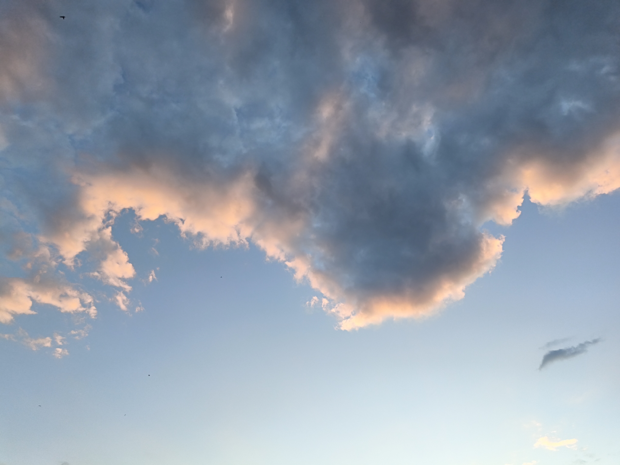 This image depicts a sky filled with clouds during what appears to be sunset or sunrise. The clouds are a mix of dark grays and blues, with some areas illuminated by a warm, peachy-pink light. The sky itself transitions from a pale blue at the bottom to a slightly deeper blue towards the top. There are several small, dark specks in the sky that could be birds. The scene is serene and evokes a sense of natural beauty. The image does not contain any recognizable landmarks or elements that would allow for pinpointing a specific location within the city of Most, Czechia.