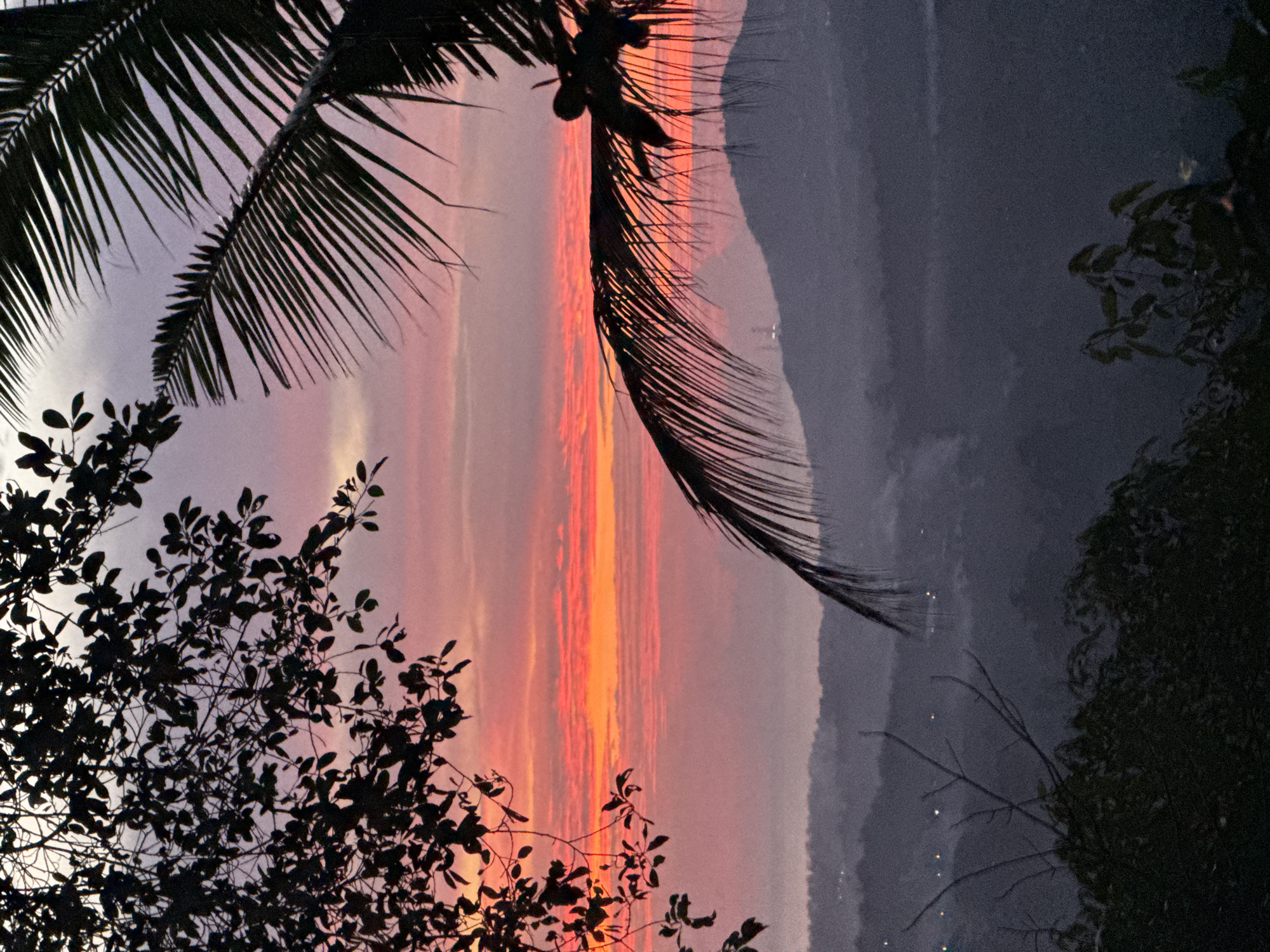 A silhouette of tropical foliage, including tree branches with leaves and palm fronds, frames a vivid sunset over a mountainous landscape. The sky is ablaze with bands of color, transitioning from deep orange and pink near the horizon to softer purple and grey hues above. In the distance, rolling hills fade into a hazy, dusky atmosphere, with faint lights visible, suggesting a town or scattered dwellings. The foreground foliage is dark and indistinct against the bright sky, creating a sense of depth and perspective. The scene captures a dramatic moment at dusk, likely in a natural or semi-rural setting within the Ko Pha-ngan District, Thailand, characterized by its lush vegetation and undulating terrain.