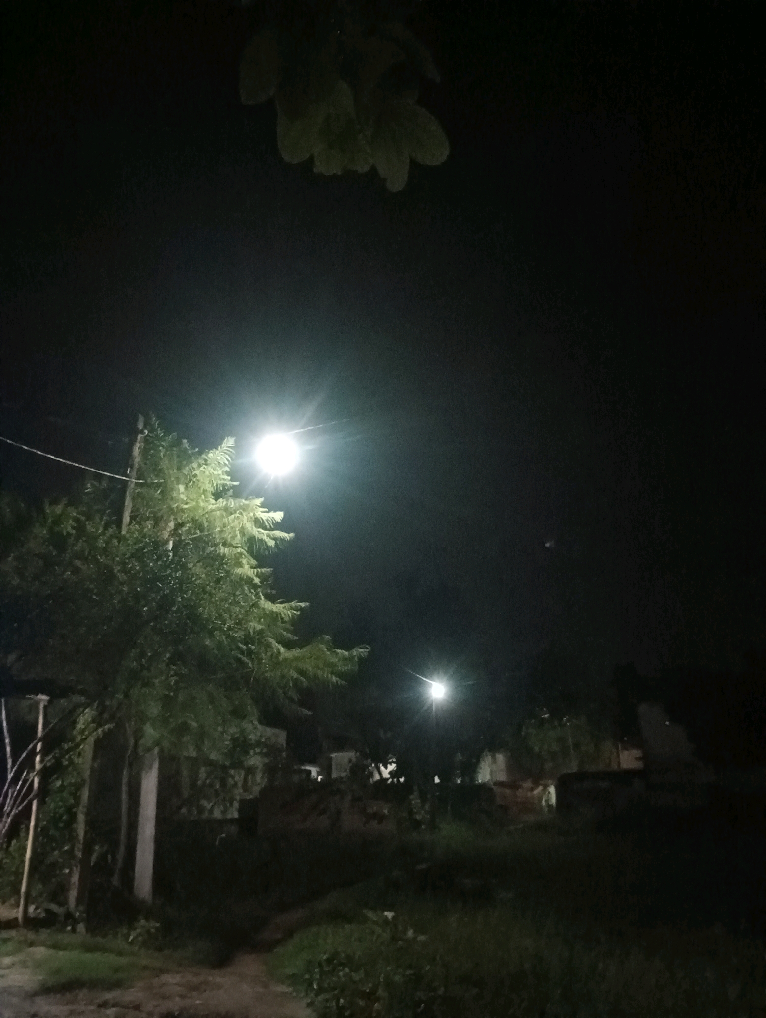 The image depicts a dimly lit outdoor scene at night in Dakhin Parsa, India. Two streetlights illuminate the area. In the foreground, a large tree with dense foliage is visible, with a power pole and wires running alongside it. The ground appears to be unpaved, with some grass and dirt. In the background, more trees and indistinct structures are present, suggesting a residential or semi-rural environment. The sky is dark and overcast. There are no people visible in the image.