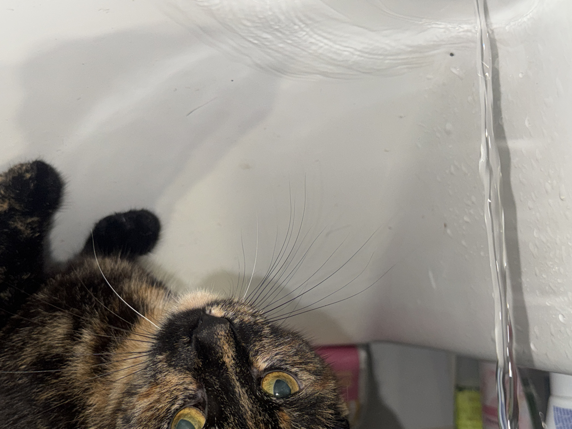 A tortoiseshell cat is in a white bathroom sink with a stream of water flowing from the faucet. The cat is in the foreground, with its head tilted upwards and its eyes visible. Behind the cat, there are personal care items blurred in the background, suggesting a domestic setting. The water stream is on the right, and there are water marks on the sink surface.