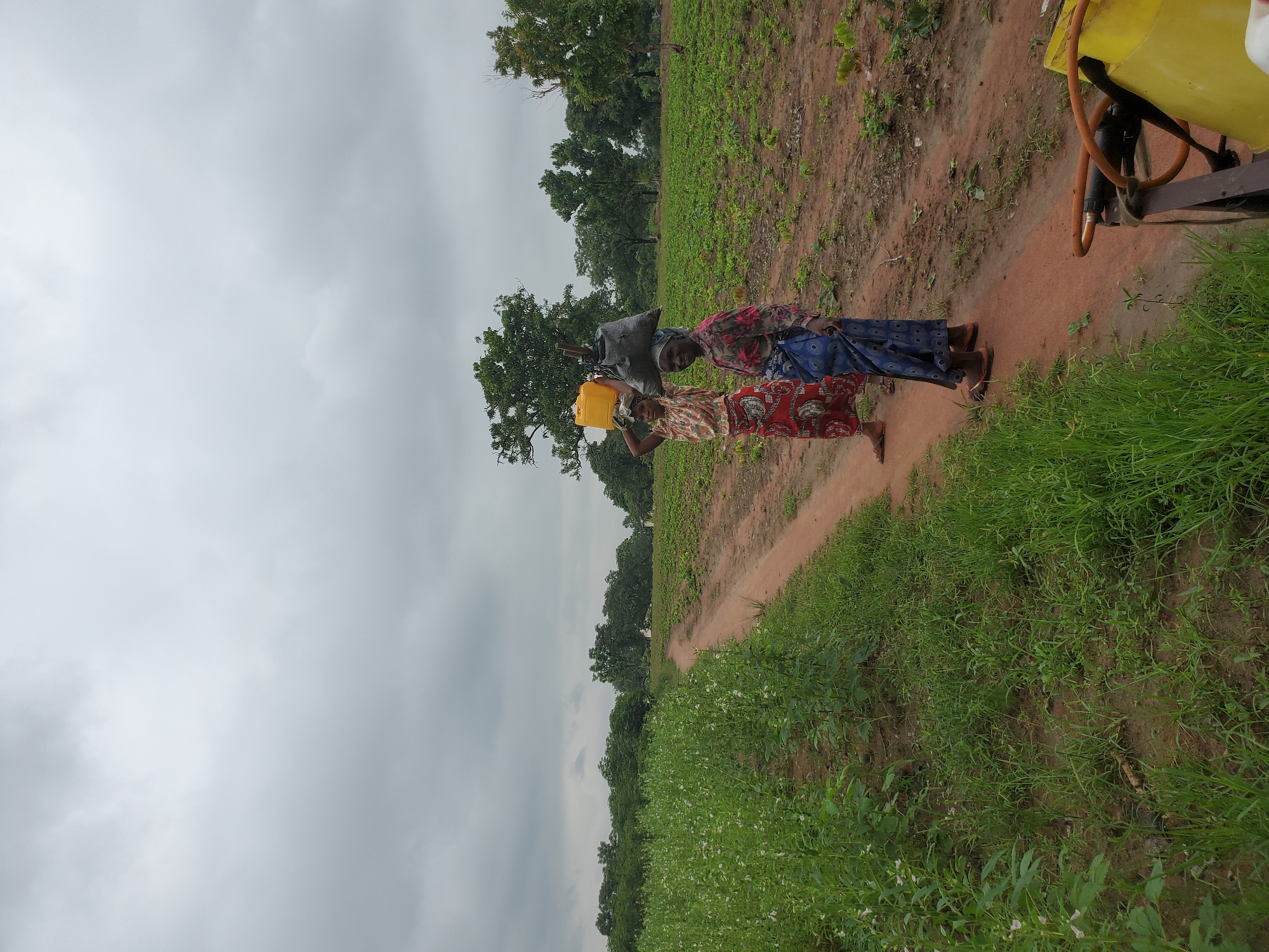 Two women are walking on a dirt path through a rural field in Mararaba, Nigeria, on an overcast day. The woman on the left, wearing a red and white patterned dress, carries a yellow water jug on her head. The woman on the right, in a blue and patterned dress, has a dark bag and a long object, possibly a tool, balanced on her head. Both women are facing forward, towards the viewer. The field to the left is filled with tall, green plants with small white flowers. To the right of the path, the field is planted with smaller, green crops. Trees line the horizon behind the fields. In the foreground on the right side of the path, part of a yellow sprayer tank and some hoses are visible.
