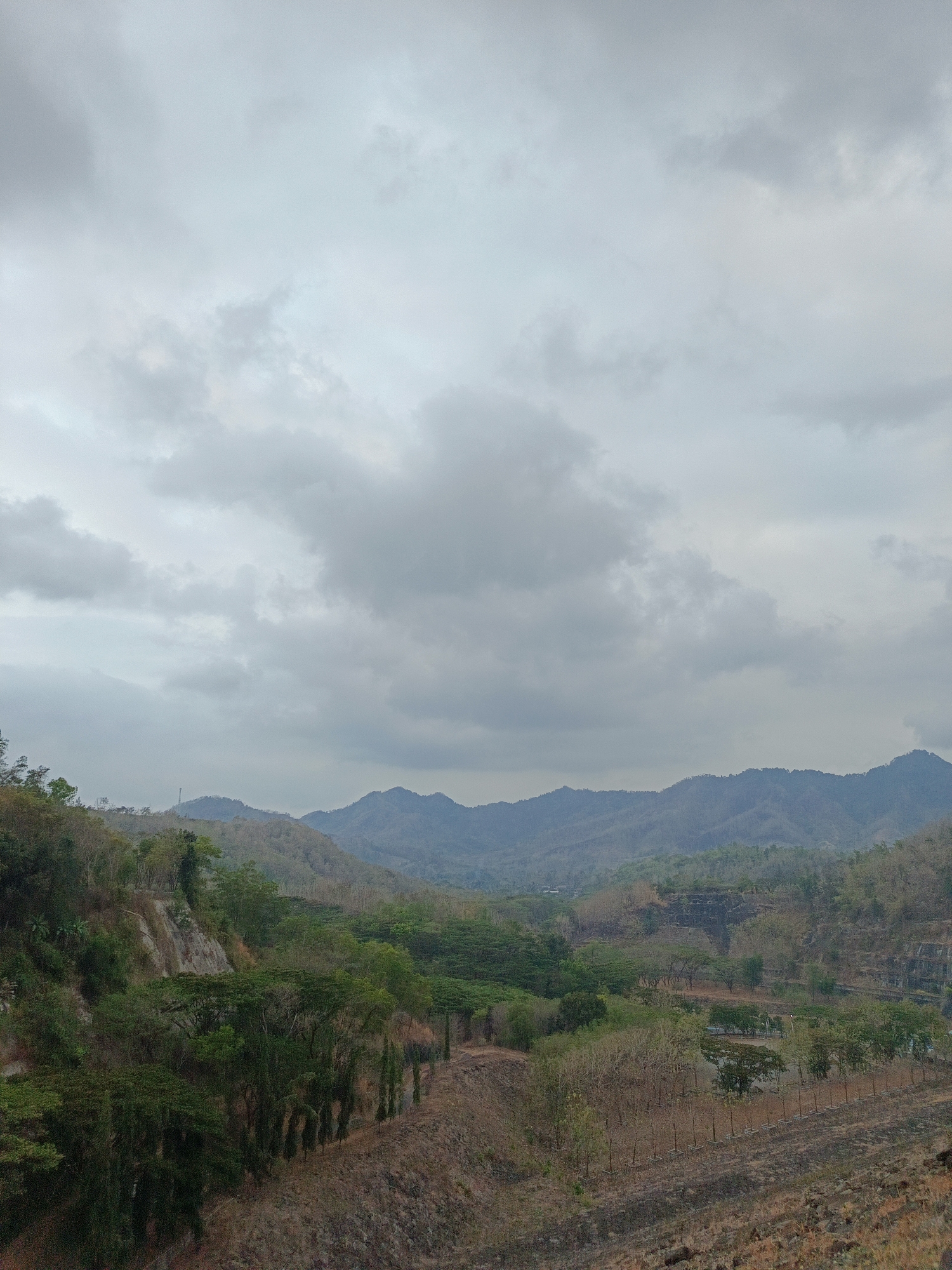 The image shows a landscape scene from the city of Segawe, Indonesia. The foreground is dominated by dry, brown earth and scattered low-lying vegetation. A line of thin, upright poles, possibly part of a fence or boundary, runs diagonally across the lower right portion of the frame. Behind this, a flat area with sparse trees and some darker green foliage is visible.
The middle ground features a sloping hillside covered in dense green trees, with some areas of exposed, lighter-colored rock or earth. A more prominent, steep embankment with a retaining wall-like structure is visible on the left side. Further back, a valley opens up, with more trees and vegetation.
The background is a series of rolling hills and mountains, fading into the distance. The sky is overcast with heavy, gray clouds, suggesting either impending rain or a generally cloudy day. There are no people or animals visible in the image, nor any obvious structures apart from the aforementioned poles and retaining wall. The overall impression is of a somewhat arid, hilly landscape under a muted sky.