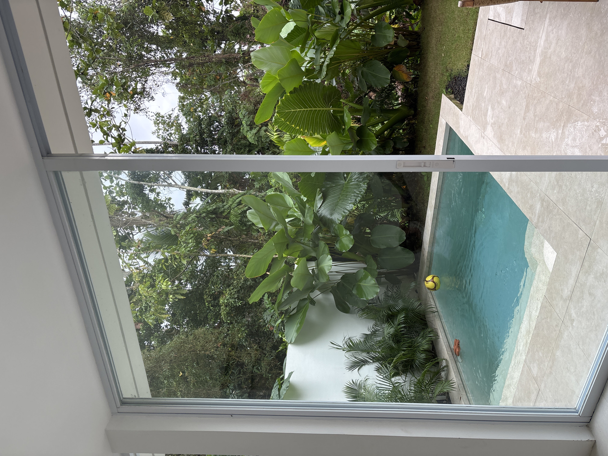 A rectangular swimming pool with blue water is situated in a courtyard area. A yellow ball floats in the pool, and a small orange object is also present in the water. The pool area is surrounded by light-colored tiles. Beyond the pool, lush green foliage and large tropical plants are visible, with a white wall behind them. The scene appears to be from a residential property in Ubud District, Indonesia, possibly a villa or a modern home with a focus on outdoor living and tropical landscaping. The image is captured from inside a building, looking out through a large glass sliding door.