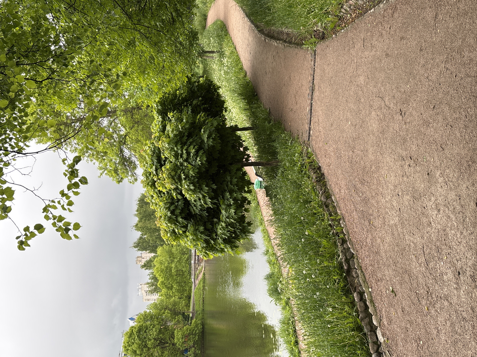 The image depicts a park scene in Saint Petersburg, Russia, adjacent to a body of water, likely a canal or river. A pathway winds through the park, bordered by grass and small white flowers. The pathway surface is composed of reddish-brown material, possibly compacted gravel or a similar aggregate. A round, dense tree stands near the pathway and the water's edge. The water reflects the surrounding trees and sky. In the background, beyond the trees, are buildings, indicating an urban setting. The sky appears overcast, suggesting a cloudy day.