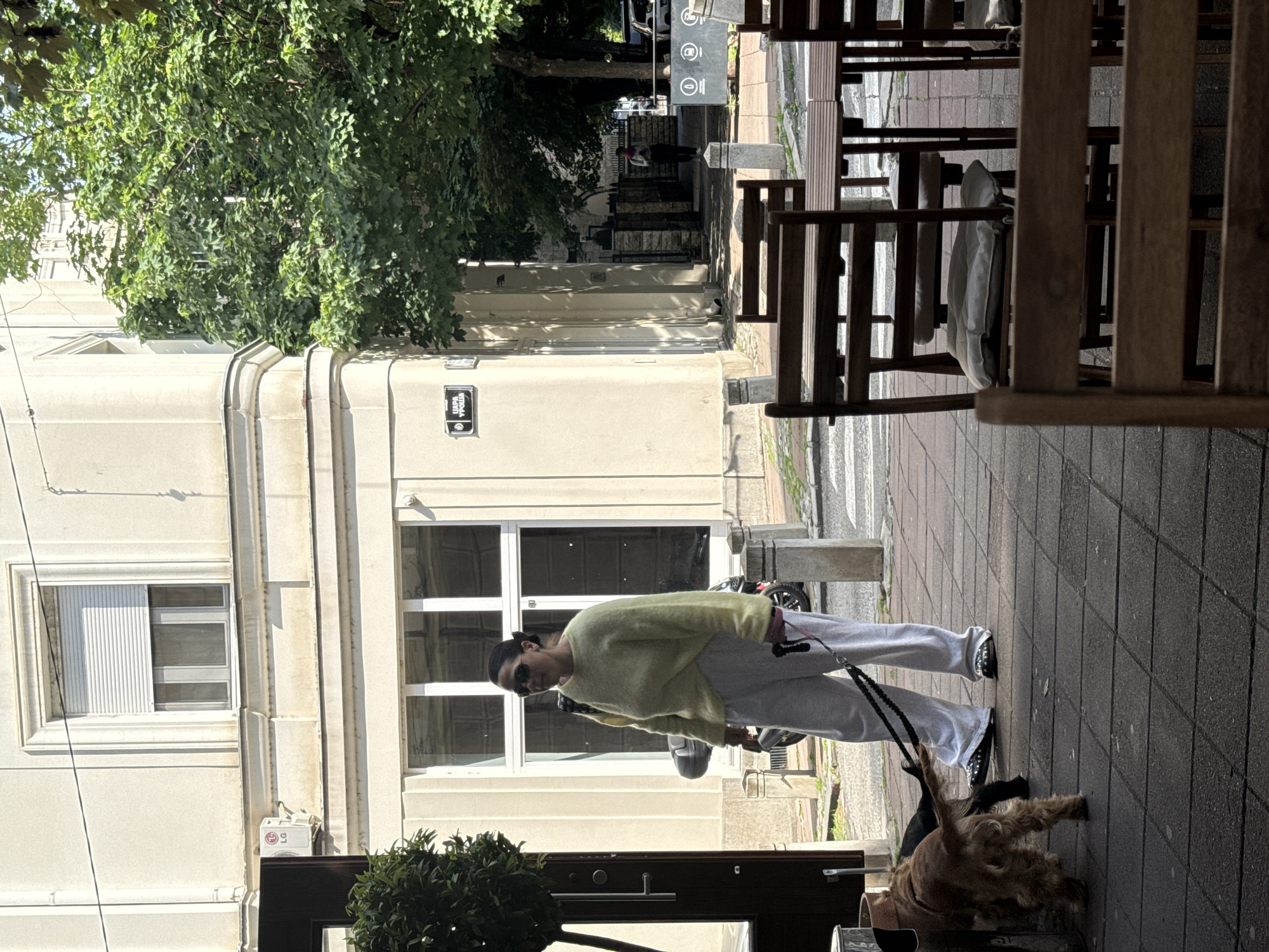 The image depicts a street scene in Belgrade, Serbia. A woman wearing a light green sweater, gray sweatpants, and sunglasses is walking a brown and black dog on a leash. She is walking on a sidewalk made of square, gray tiles. To her left is a beige building with windows and a door. Above the building is a large green tree. In the background, there is a street and other buildings. There are tables and chairs on the right side of the sidewalk, suggesting a restaurant or cafe. A street sign bearing the name "Цара Уроша" is visible on the building to the left.