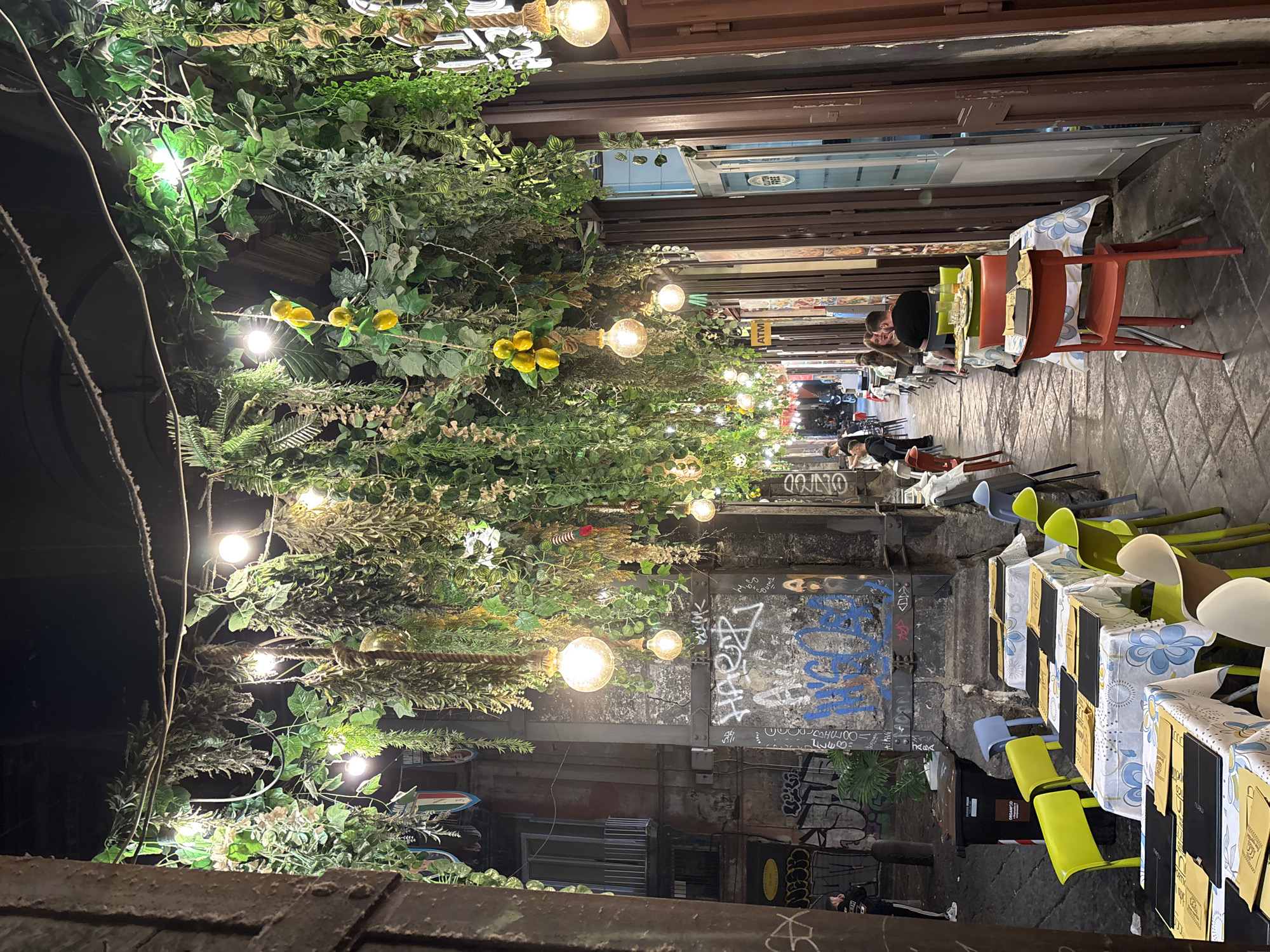 Captured outdoors at night, the photo portrays a narrow alleyway, likely in the city of Unknown, Unknown. The alley is lined with buildings. The overhead space is decorated with artificial greenery and strung with illuminated light bulbs. Tables and chairs are arranged along the alleyway, with some occupied by people. Graffiti adorns the walls of the alley.