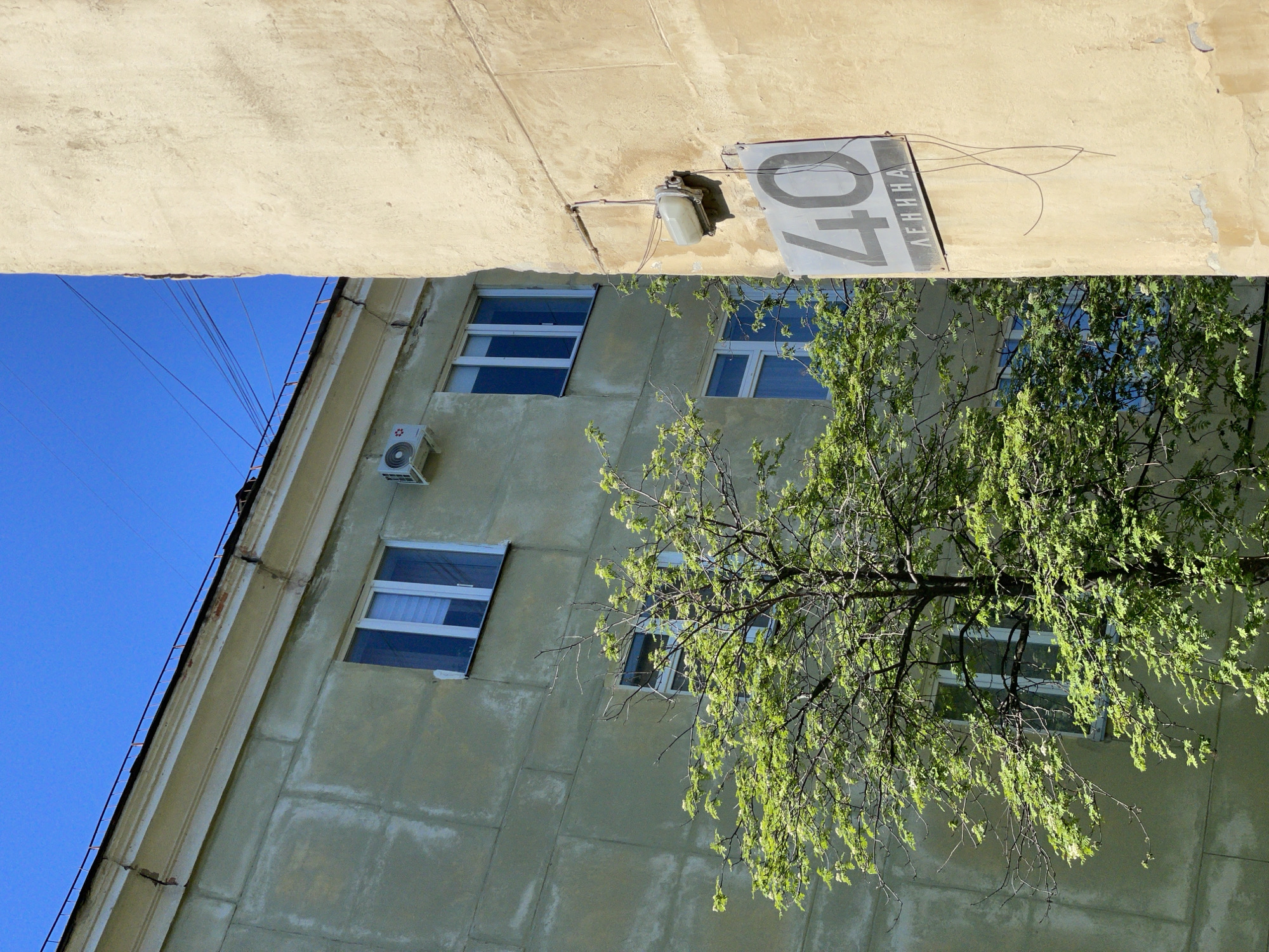 The image presents an upward-angled view between two buildings in Zheleznogorsk, Russia, under a clear, bright blue sky.
In the upper portion of the frame, the facade of a light-colored, textured building is visible. Mounted on this wall is a rectangular street sign displaying the large numeral "40" and the Cyrillic word "ЛЕНИНА" (LENINA) below it, indicating "40 Lenina Street". An old, cream-colored outdoor lamp with exposed wiring is affixed to the wall near the sign.
Below this, and extending across the lower and central areas of the image, is the facade of a grayish-green building. This building features several rectangular windows with white frames, reflecting the sky. An outdoor air conditioning unit is mounted on its exterior. A deciduous tree with vibrant green, fresh leaves extends from the lower right, its branches and foliage partially obscuring some of the windows and casting dappled shadows on the building. The new growth suggests the season is spring or early summer. The clear blue sky and bright light indicate a sunny day. The perspective creates an interesting composition, highlighting the urban environment and the contrast between the old buildings and the new foliage.