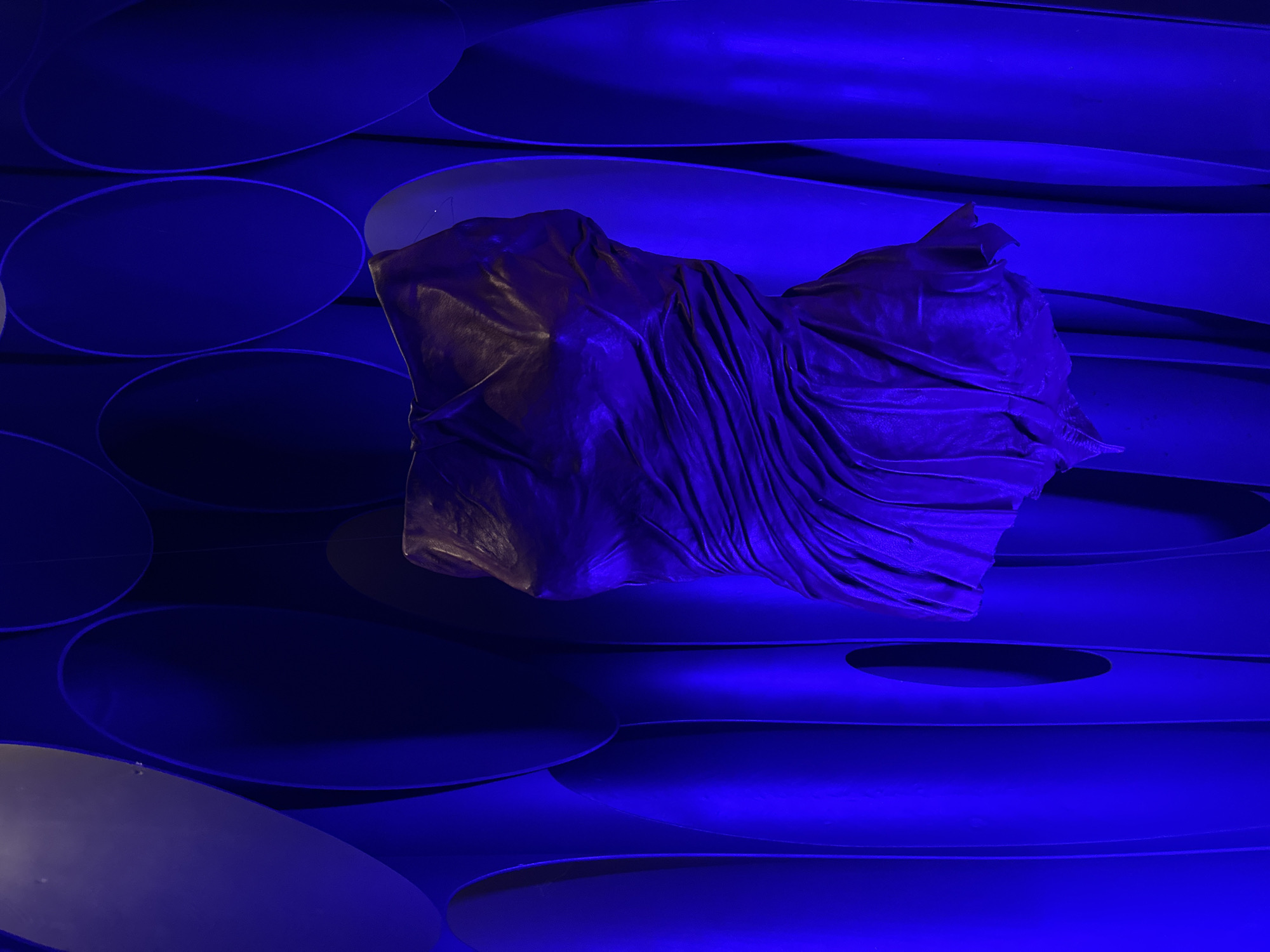 A low-angle shot showcases an art installation, possibly a ceiling fixture, situated in Unknown, Unknown. The scene is bathed in an intense blue light, which highlights the geometric patterns of the structure. The background comprises numerous elongated oval and circular shapes, arranged in a seemingly random pattern that suggests an abstract design. Dominating the center of the frame is a draped fabric-like object that appears to be suspended in mid-air. The fabric has deep, sharp folds and textures, catching the blue light to create a dramatic visual effect. The object is placed against the backdrop of the structured geometric shapes, contributing to the overall artistic composition of the scene.
