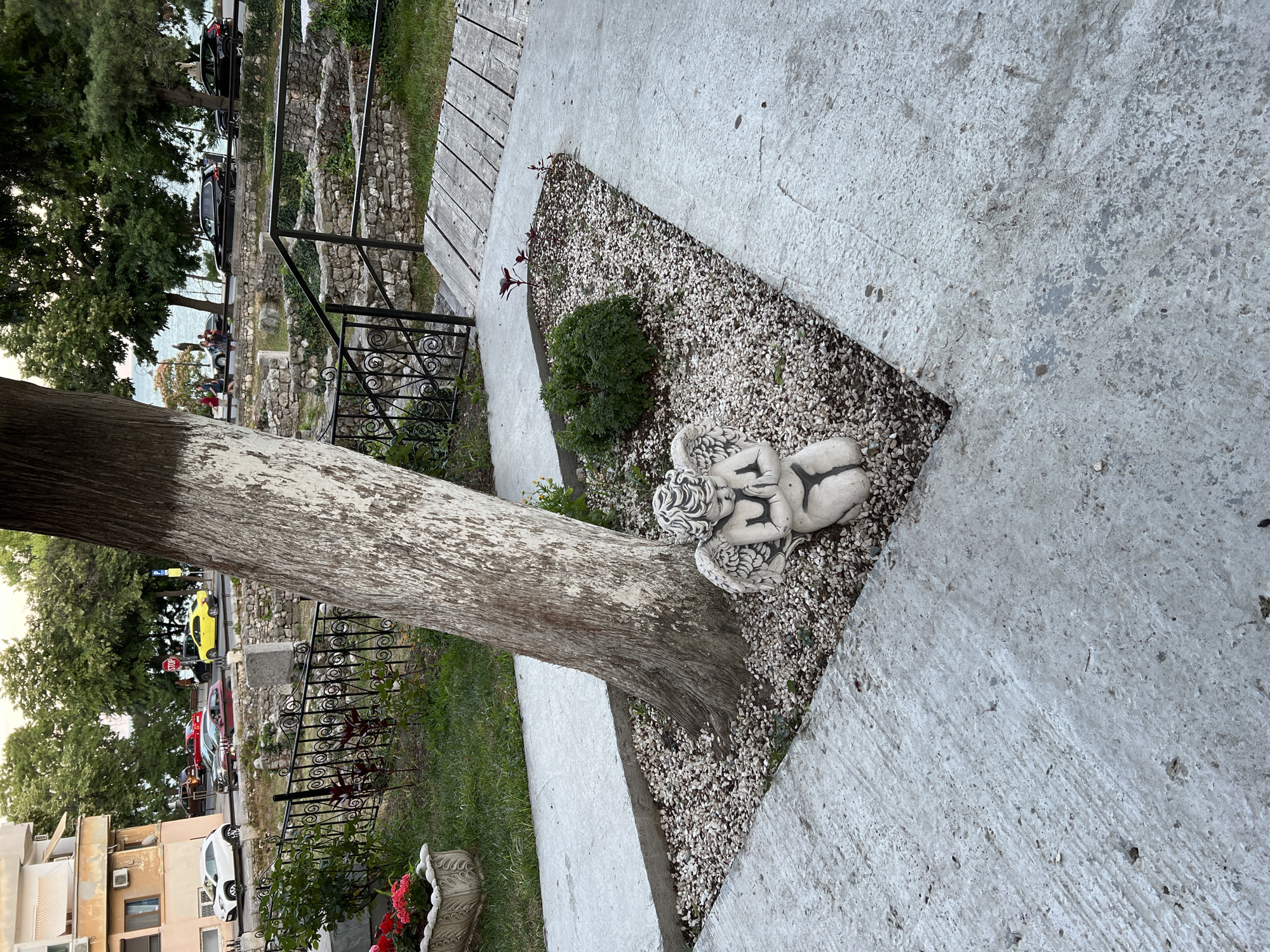 The image shows an outdoor scene with a statue of an angel in the foreground, placed amongst gravel near the base of a tree. The angel statue is light-colored and appears to be made of concrete or stone, depicting a winged figure in a kneeling pose with its hands clasped. The tree has a thick, rough-textured trunk.
Behind the tree and statue, there are remnants of ancient stone ruins, suggesting a historical site. A black metal fence with decorative scrollwork runs along the perimeter of the ruins. Beyond the fence, a paved walkway or street is visible, with several cars parked or driving. The cars include a white hatchback, a red sedan, a yellow sedan, and two black SUVs.
In the background, there is a building with balconies and air conditioning units, characteristic of urban architecture. Lush green trees and vegetation frame the scene, and the presence of the sea is suggested by the distant view of water and sky. The overall setting appears to be a public area in the city of Constanța, Romania, likely a historical park or archaeological site adjacent to a street and the coastline. The lighting indicates it is daytime, possibly late afternoon or early evening, with soft, diffused light.