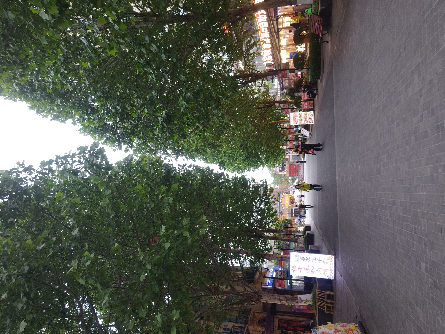 The image depicts a wide pedestrian street or avenue in Chongqing High-tech Zone, China, lined with a dense canopy of green trees. The perspective looks down the street, with a bright sky visible above the foliage.
Numerous individuals are seen walking along the dark grey paved pathway. On both sides of the street, multi-story commercial buildings with illuminated windows and vibrant signage are visible behind the trees. Street furniture such as benches, planters, and various outdoor displays are placed along the path, suggesting a bustling commercial area.
The scene portrays a calm, everyday activity, with people strolling and shops open. The presence of both a bright sky and illuminated shop signs suggests the time of day is either late afternoon transitioning into early evening or an overcast day. The weather appears fair.
A prominent, glowing sign on the right side of the path displays Chinese characters. Clearly visible text includes "烤猪蹄" (kǎo zhū tí - grilled pig trotters), "冰糖" (bīng táng - rock candy), "干果" (gān guǒ - dried fruit), "豆干" (dòu gān - dried tofu), and "花生" (huā shēng - peanuts), indicating a food stall or snack shop. Other less distinct Chinese characters are present on various shop signs along the buildings, reinforcing the urban commercial setting.