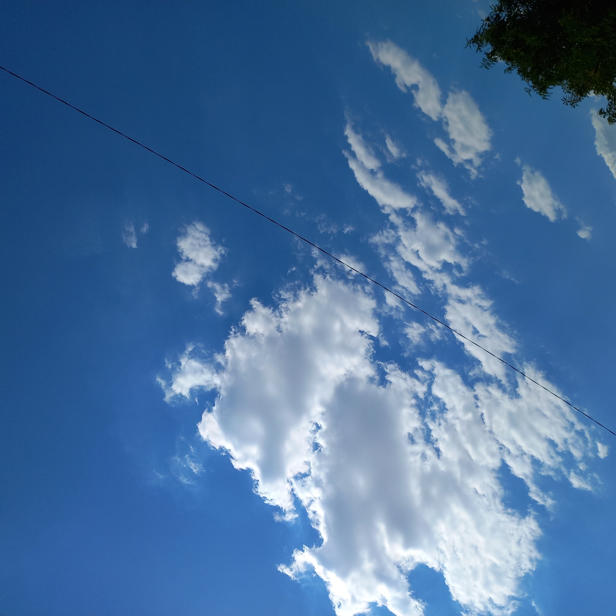 A clear blue sky dominates the image, with a diagonal dark line, likely a power line or cable, stretching across the frame from the bottom left to the top right. Scattered white cumulus clouds are present, ranging from small wisps to larger, more substantial formations. In the bottom right corner, the dark green foliage of a tree is visible, its leaves appearing dense. The scene appears to be an outdoor environment, potentially in Kropyvnytskyi, Ukraine, given the context. No people or specific actions are depicted. The lighting suggests it is daytime.