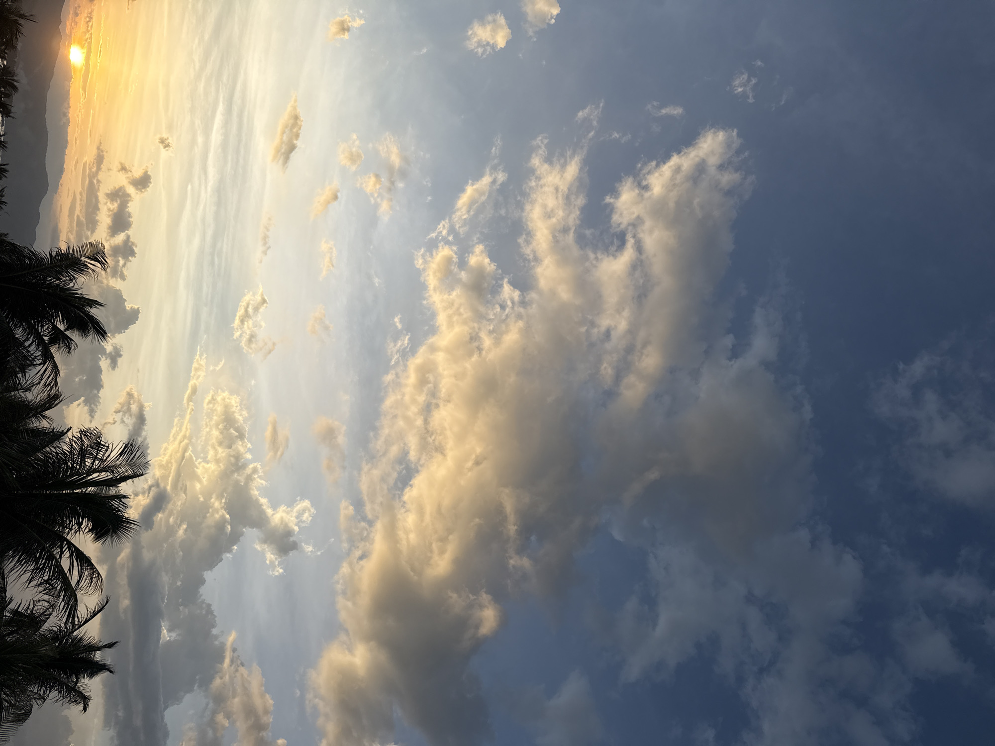 This image depicts a serene sunset scene in the city of Song Cau, Vietnam. The sky is a canvas of blues and oranges, with fluffy white and golden clouds scattered across the expanse. In the lower portion of the image, the silhouettes of palm trees stand out against the vibrant sky, their fronds creating a dramatic fringe. In the distance, rolling hills are visible, adding depth to the landscape. The setting sun casts a warm glow over the scene, creating a peaceful and picturesque atmosphere.