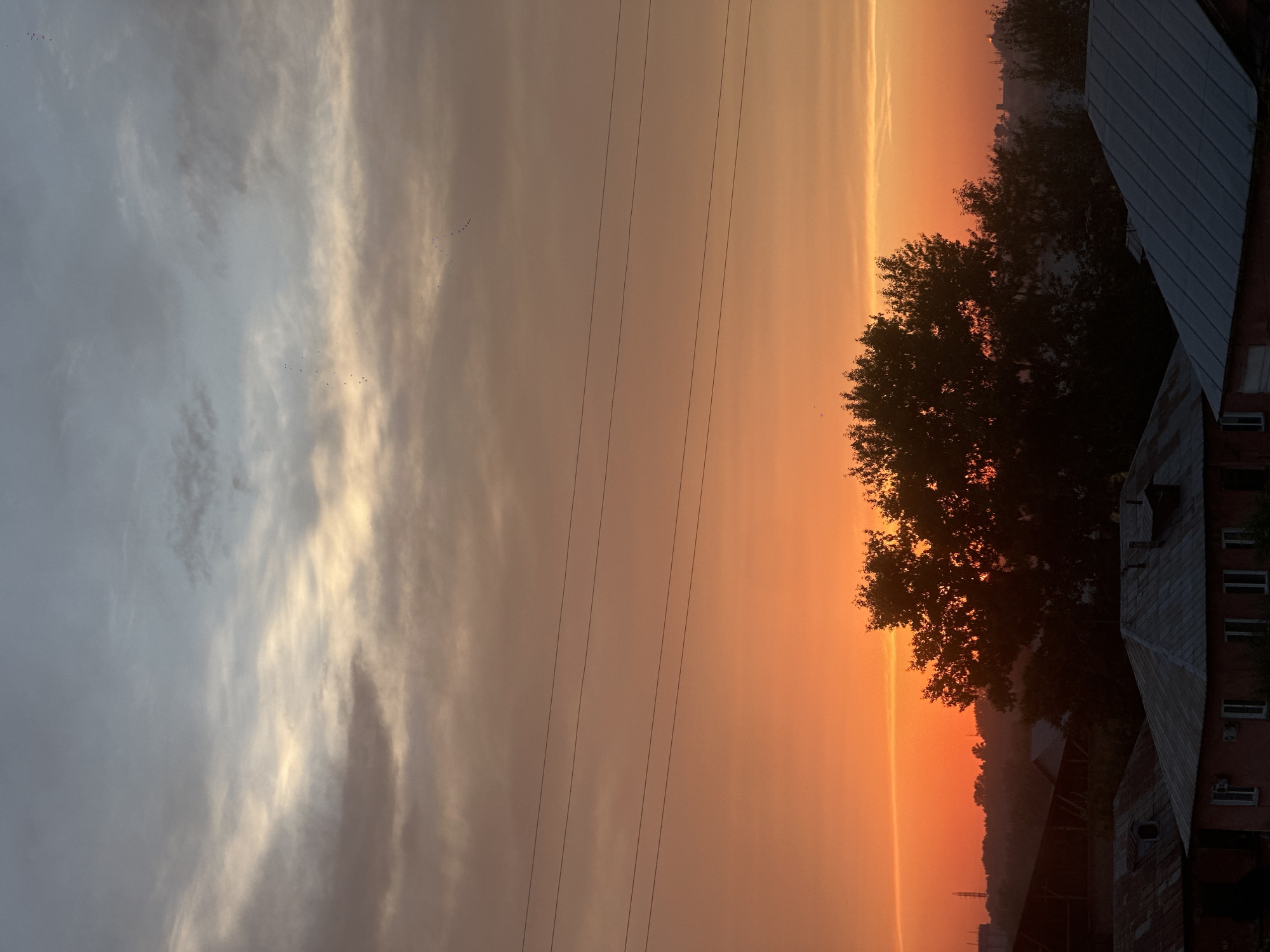 A twilight scene unfolds over Biysk, Russia. The sky transitions from a pale grey at the top to a vibrant orange near the horizon. Wispy clouds, tinged with yellow and pink, drift across the upper portion of the sky, punctuated by faint outlines of birds in flight, forming small, scattered flocks. Several parallel power lines stretch horizontally across the middle ground, cutting through the colorful sky. Below the sky, the silhouettes of trees, dominated by a large, leafy tree in the foreground, are visible against the bright background. The lower third of the image reveals the rooftops of buildings, some appearing to be houses with gabled roofs, suggesting a residential area. The rooftops are varied in material, with some showing signs of age. The overall impression is a serene, end-of-day view of an urban landscape.