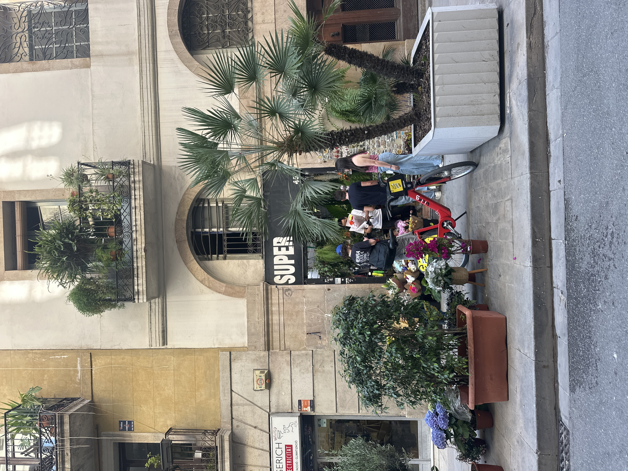 The image depicts a street scene in Barcelona, Spain, centered around a flower vendor operating from a red bicycle. Two customers are visible: one wearing a pink tank top and jeans, and another wearing a blue cap and a black shirt with writing on it, appearing to be examining flowers or reading a newspaper. The street is lined with buildings in typical European architectural style, with stone facades and wrought iron balconies adorned with plants. A large palm tree provides shade over the vendor's stand. Various potted plants are arrayed along the sidewalk, adding to the urban greenery. The street is paved, and a portion of the road is visible on the right. A sign reading "SUPER" is visible behind the flower stand. Another sign reading "GERICH ELECTRICITAT" is seen below the large tree on the building in the background.