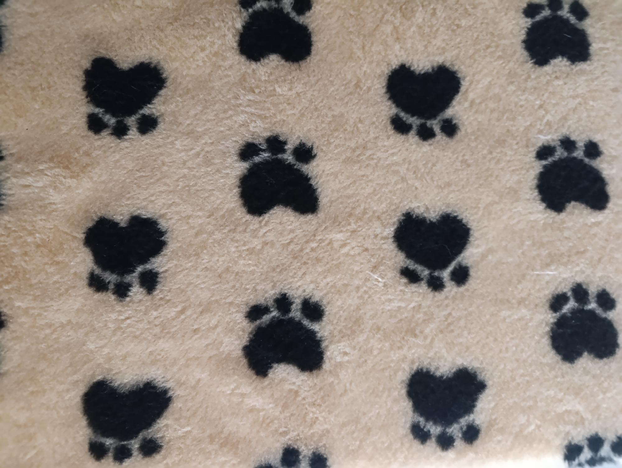 The image is a close-up, overhead shot of a beige, furry fabric with a repeating pattern of black paw prints. The paw prints are stylized, with a larger heart-shaped pad and four smaller toe pads. The fabric appears to be soft and plush. There are no people, animals, or any other objects visible in the image, other than the fabric and the paw print pattern. The image is of a textile, not a scene within the city of Zlatopil, Ukraine, and therefore its location within the city cannot be described.