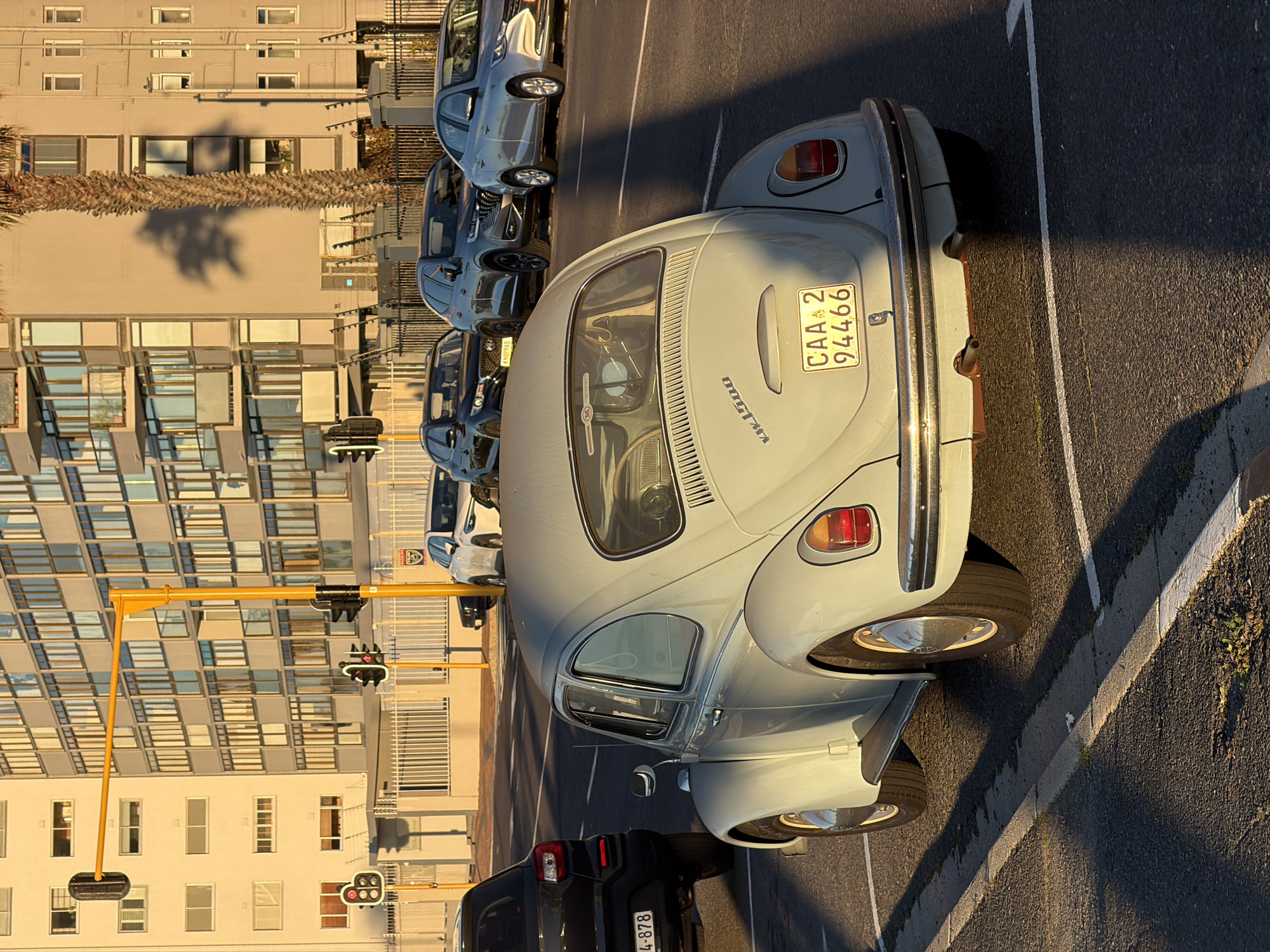 The image captures a vintage light blue Volkswagen Beetle parked on a city street in Cape Town, South Africa. The car is facing right, with its rear to the viewer. Its license plate reads "CAA 2 94466". The Beetle is positioned in a marked parking bay with white lines on an asphalt surface, bordered by a concrete curb.
Behind the Beetle, a modern dark gray SUV is visible, followed by a silver sedan. Further back, a black SUV is also present. The street is lined with several traffic lights, some with illuminated red signals, indicating a traffic stop. A tall palm tree casts a distinct shadow on the side of a multi-story building that dominates the background. This building features numerous windows and balconies and appears to be residential or commercial. The architecture suggests a contemporary urban setting. The overall lighting indicates it is late afternoon or early evening, with warm sunlight casting long shadows across the scene. The presence of a South African license plate and the distinctive architectural style of the buildings strongly suggest the location is Cape Town.