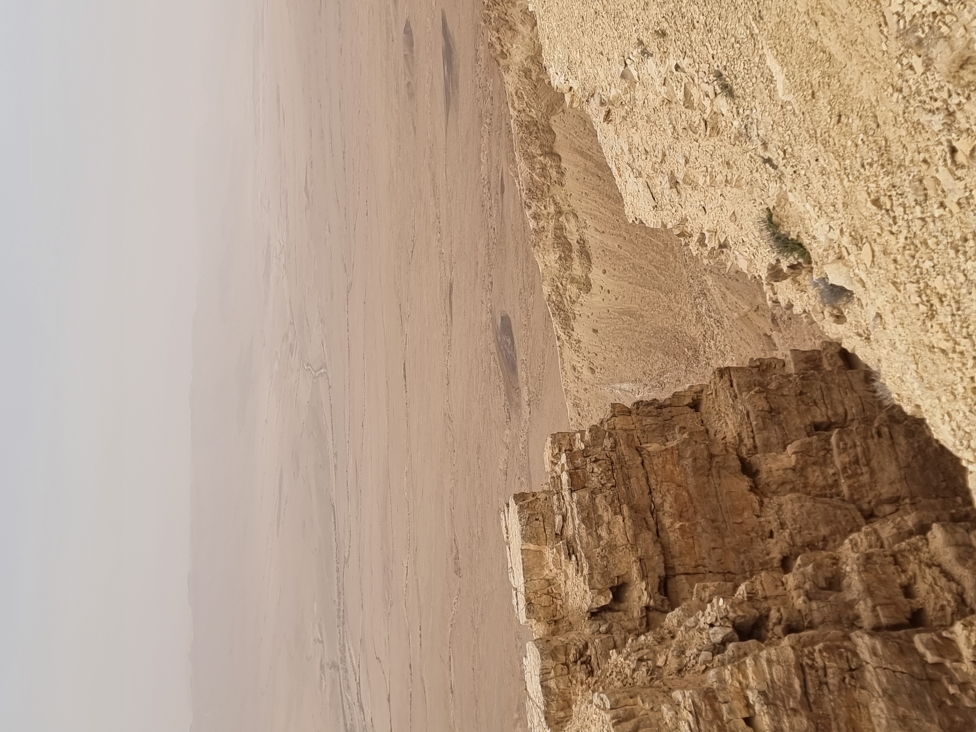 The image depicts a desert landscape viewed from a high vantage point, likely a cliff or canyon edge. The location is Mitzpe Ramon, Israel.
The right side of the image shows a rocky cliff face with various layers of eroded stone and a small patch of vegetation. The cliff transitions into a vast, arid plain stretching into the distance on the left. A hazy atmosphere obscures the horizon and distant features.
The plain is sparsely vegetated, with occasional dry riverbeds or drainage patterns visible. The color palette is dominated by earth tones, primarily shades of beige, brown, and grey.
