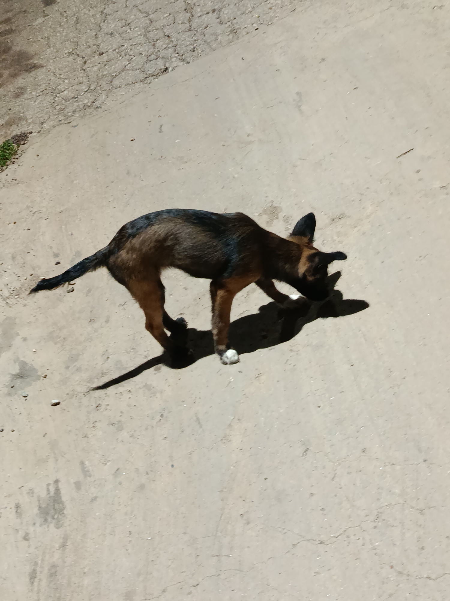 Memory