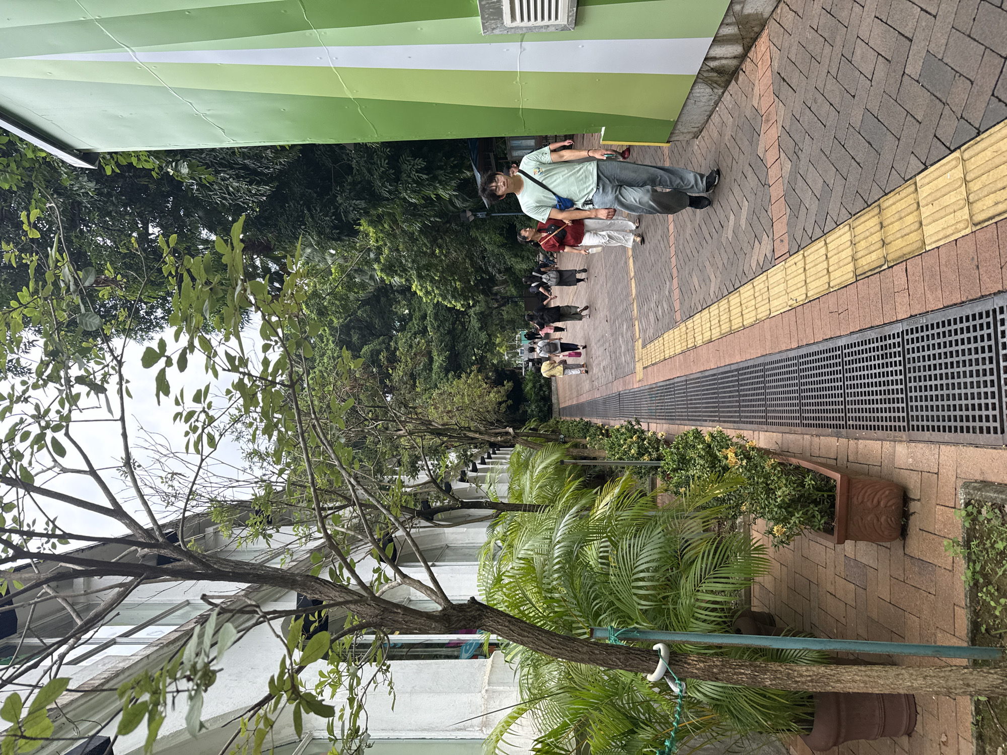 The image depicts a pedestrian pathway in Hong Kong, China. On the left, a white building with windows is visible, lined with potted palm trees and smaller plants. The pathway is paved with brick in a herringbone pattern, with a textured yellow tactile paving strip along the edge adjacent to a drainage grate. Several people are walking along the path. In the foreground, a young man wearing a light green t-shirt, grey pants, and a blue crossbody bag is walking towards the viewer. To his right is a tall, green building with white vertical stripes. Further down the path, other pedestrians are walking away from the camera. The background is filled with lush green trees, suggesting a park-like or landscaped urban environment. The sky is overcast.