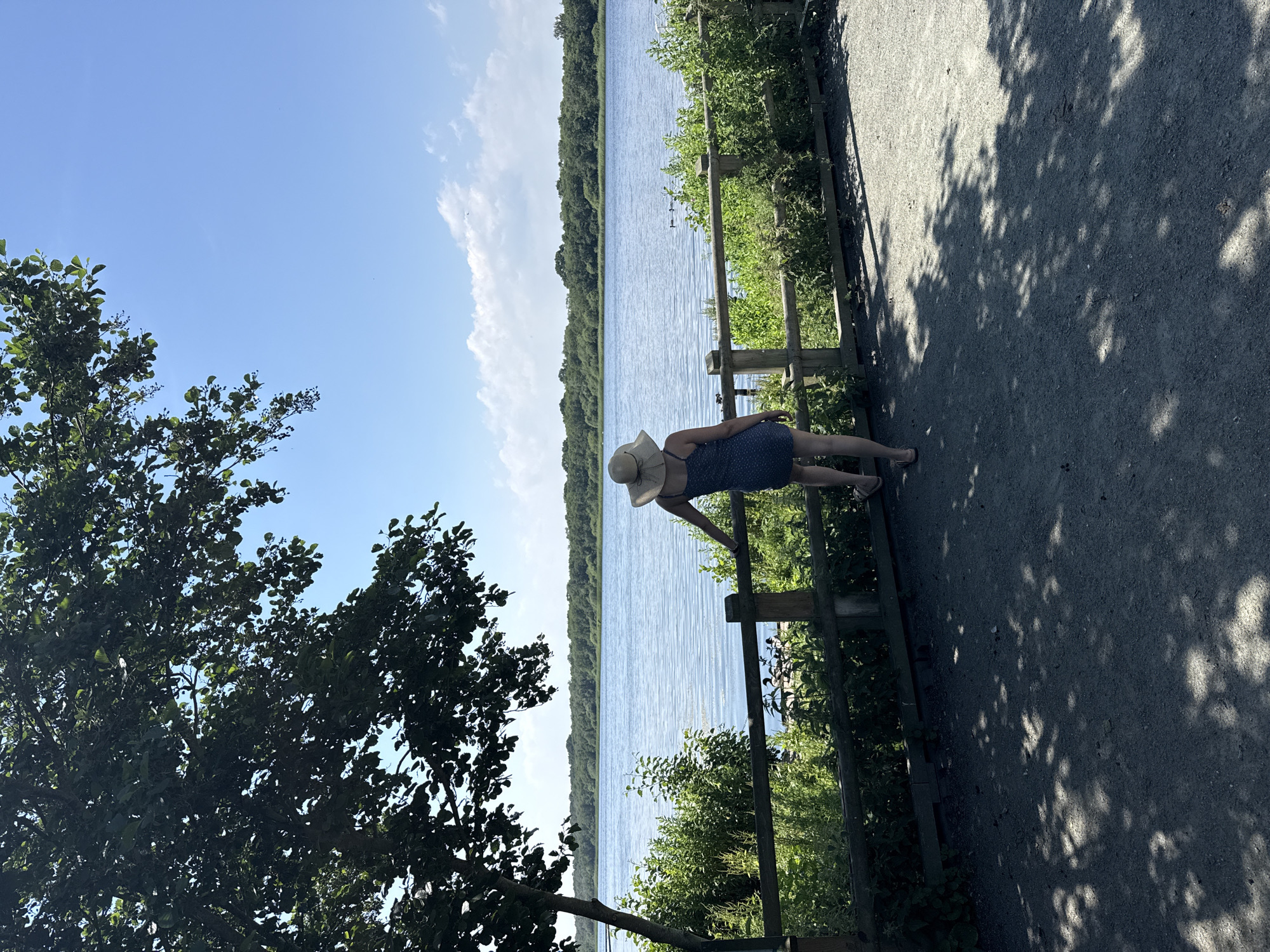A person wearing a straw hat and a blue dress is standing by a wooden fence, looking out at a large body of water. The water is calm and reflects the blue sky, which has a few white clouds. Trees and lush green vegetation line the edge of the water, creating a natural barrier. To the right of the person, a gravel path is visible, with dappled sunlight filtering through the leaves of unseen trees, casting shadows on the ground. The scene appears to be set in a park or nature reserve, likely during the daytime given the bright sunlight. The person's posture suggests a moment of quiet contemplation or enjoyment of the scenery. There is no visible text in the image.
