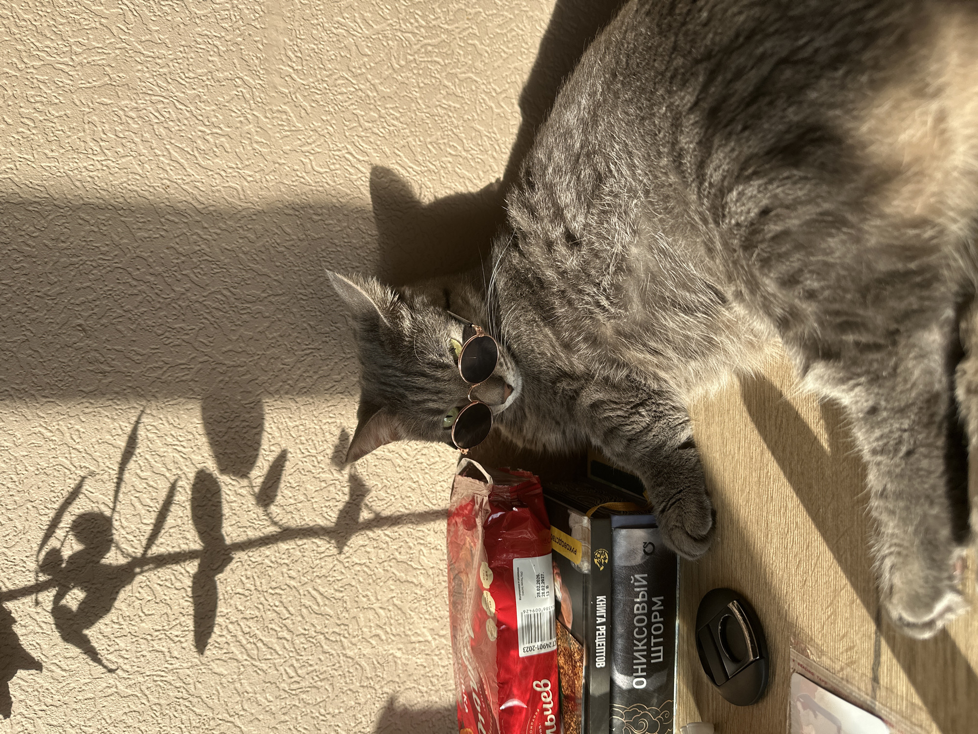A gray tabby cat wearing round sunglasses lies on a table next to a bag of "альчев" cookies, a book titled "КНИГА РЕЦЕПТОВ ОНИКСОВЫЙ ШТОРМ," and a black electronic device. The cookies' packaging indicates the product complies with CT 24901-2023 and has a barcode 4612731546401. The image includes the shadow of a leafy branch on a tan wall in the background. The product description is from Krasnoyarsk, Russia.