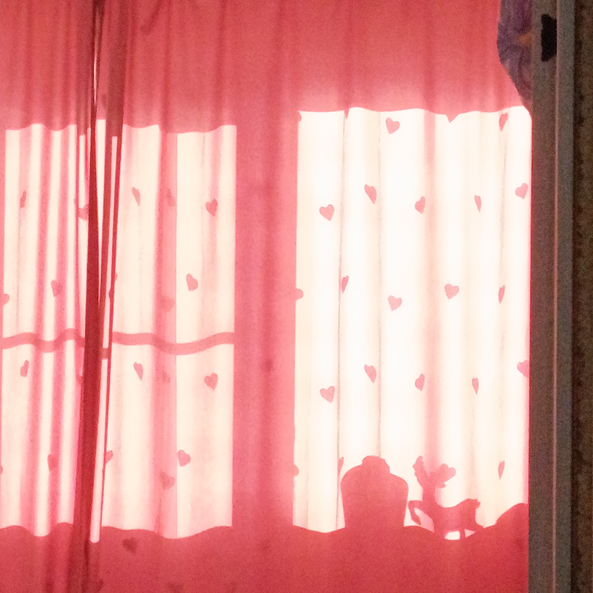 The photograph shows a window covered with pink, heart-patterned curtains. The window is letting in diffused light. A shadow of what looks like a moose appears along the bottom edge of the curtains. A portion of the window frame is visible on the right.
The location is Марковский, Russia.