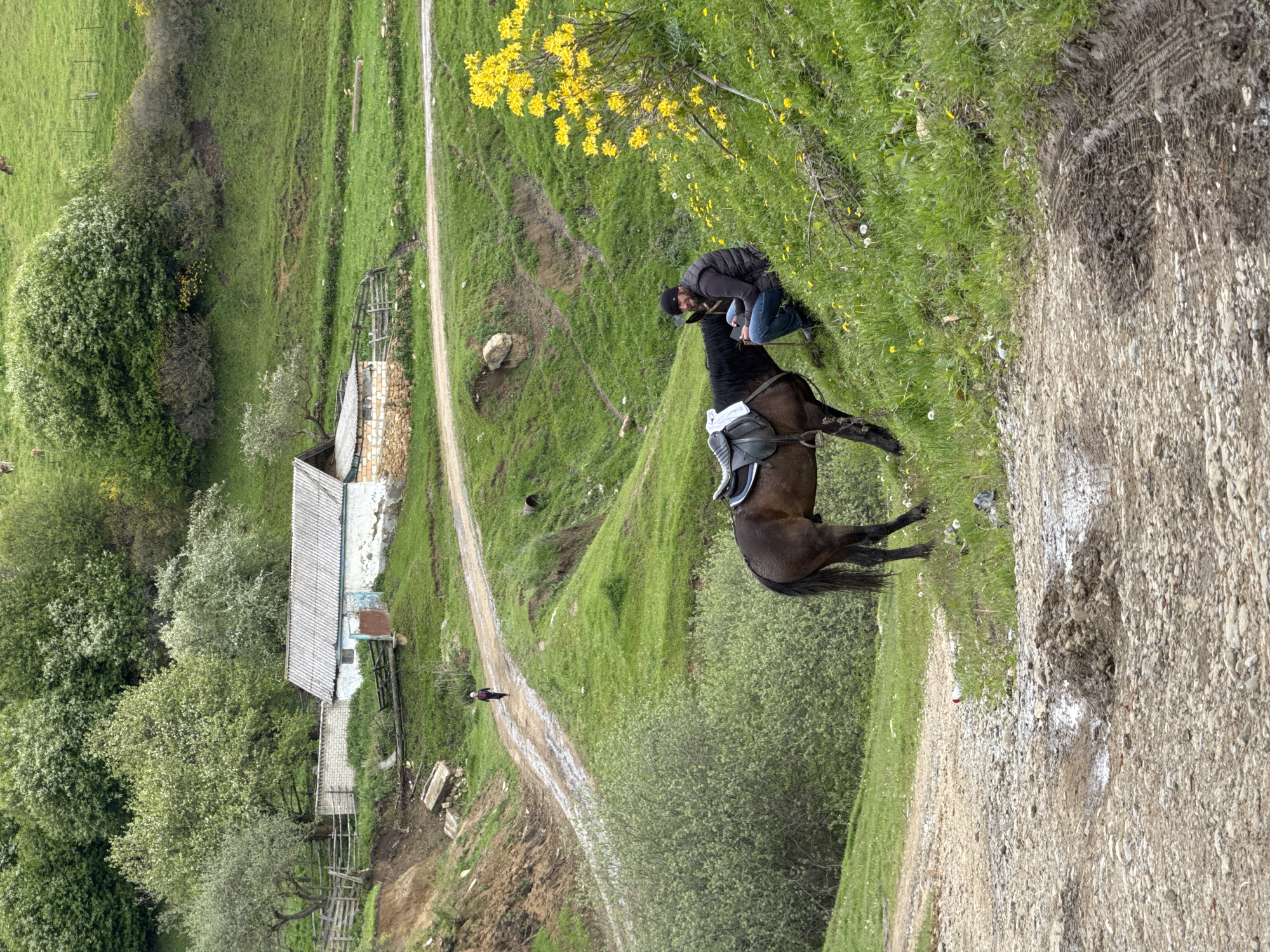 A medium, eye-level shot captures a rural landscape in Верхняя Мара, Russia. A man in a dark jacket and jeans leans over a saddled brown horse standing on a grassy hillside, near a patch of yellow wildflowers. Behind them, a dirt path winds through the green hills, past a building with a grey roof and light-colored walls. The environment includes trees and fields, suggesting a pastoral setting.