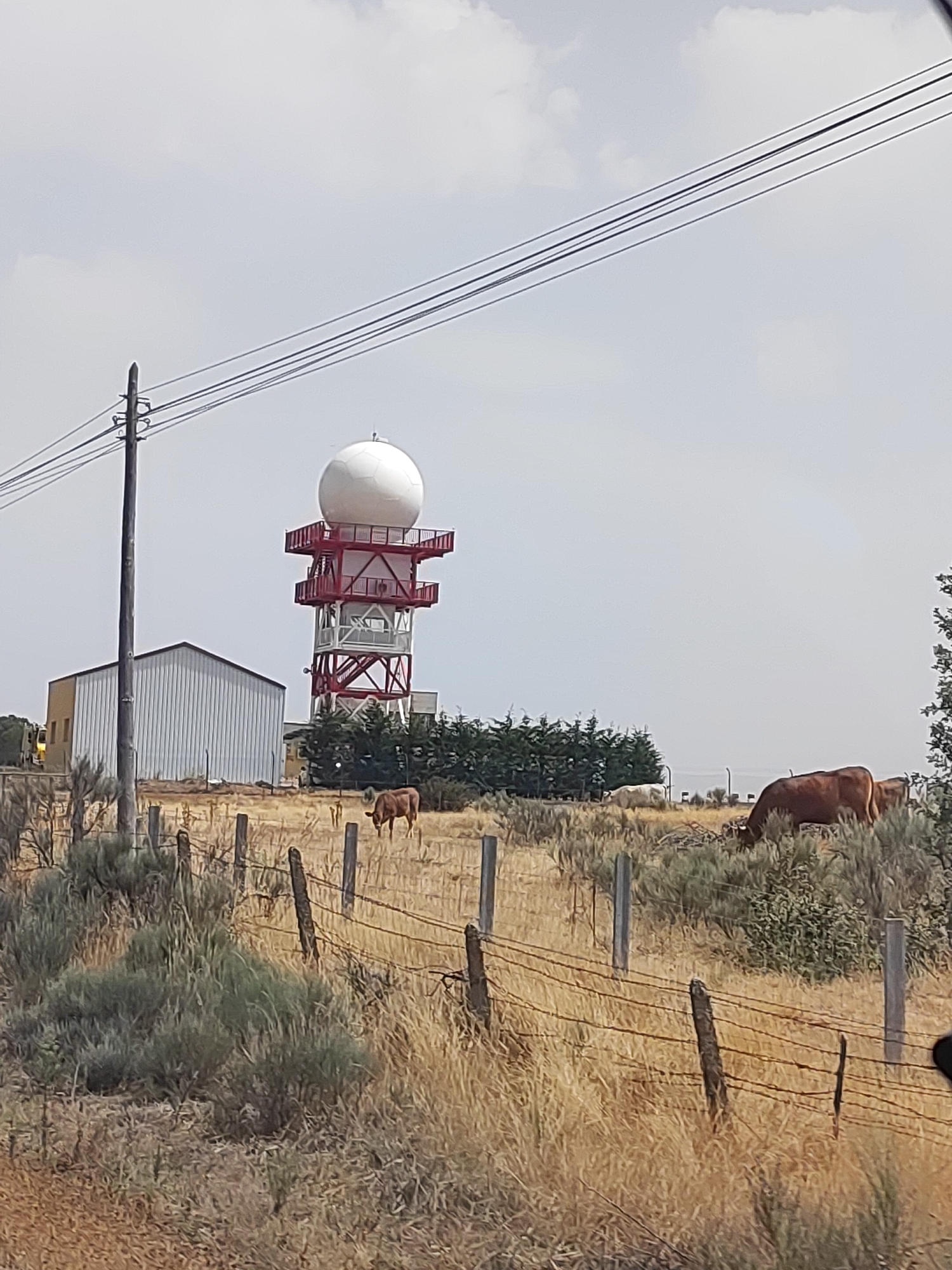 The image depicts a rural landscape with a prominent radar tower in the background. The tower is white and red, with a large white dome at the top. To the left of the tower is a silver-colored building with a gable roof. In the foreground, there is a barbed wire fence and dry, grassy vegetation. Several cows are visible in the middle ground, grazing in the field. The sky is overcast with clouds. The scene appears to be located in the city of Guadramiro, Spain.