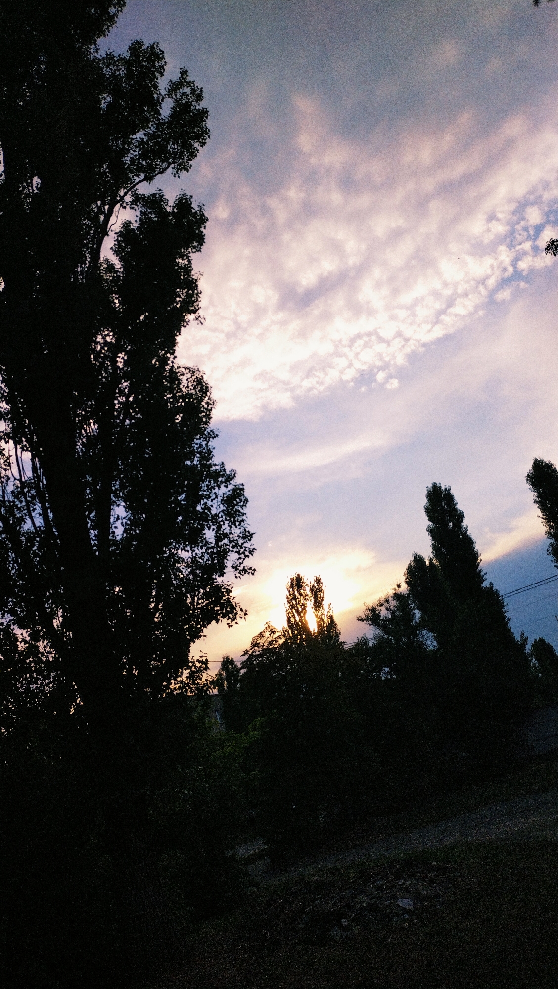 The image depicts a twilight scene with trees silhouetted against a cloudy sky. The sky displays hues of purple, pink, and pale yellow, with sunlight filtering through the clouds and behind some of the trees. In the foreground, the dark silhouettes of large trees dominate the left side of the frame, with their branches extending upwards. The middle ground features a line of trees, some tall and slender, and others appearing bushier, with a few buildings barely visible behind them. The ground in the lower portion of the image is dark and indistinct, suggesting low light conditions, with some scattered debris visible. The scene appears to be an outdoor, possibly park or residential area, likely within the city of Horishni Plavni, Ukraine. There are no people or animals visible in the image.