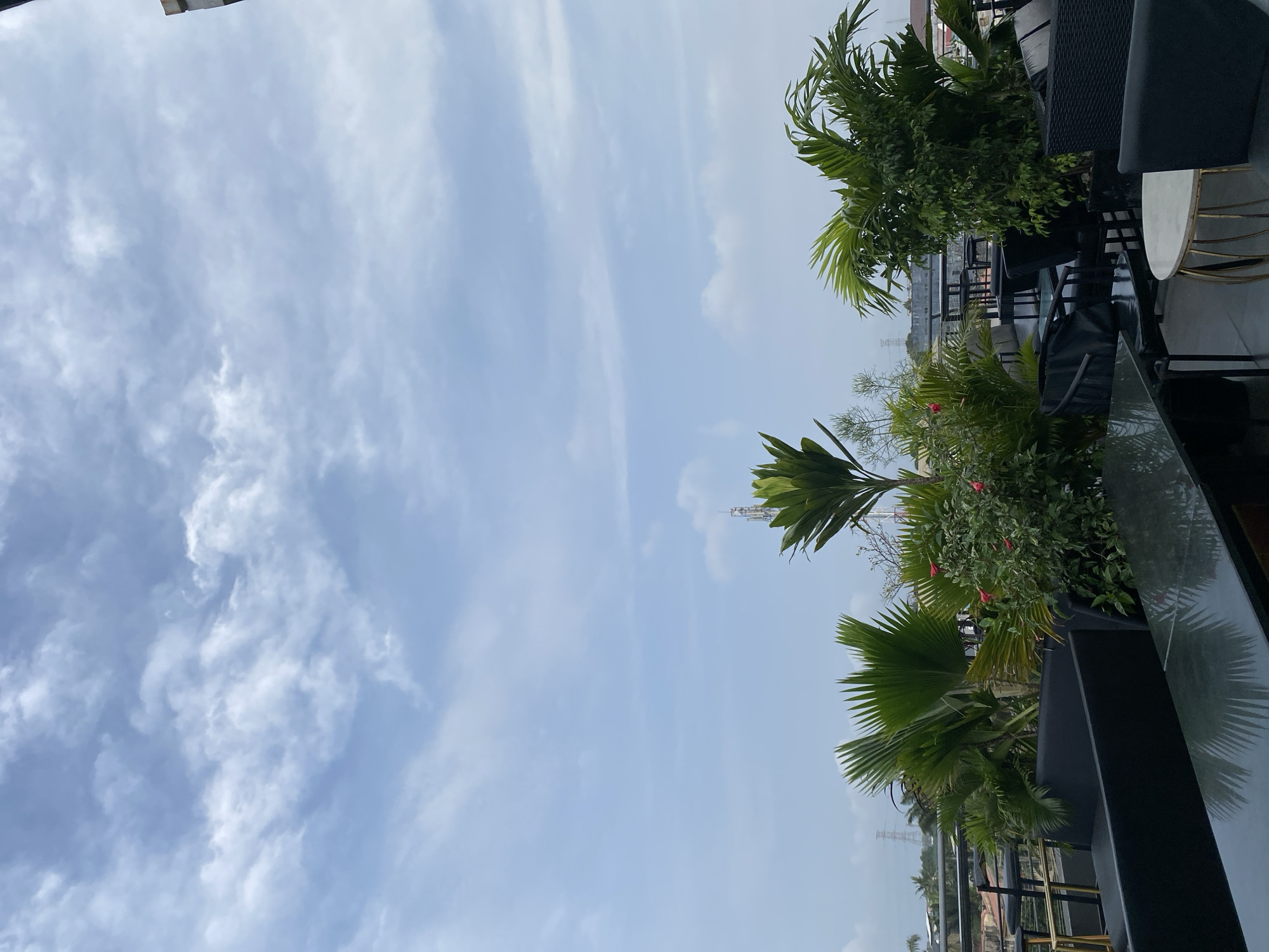 The image captures an outdoor seating area, likely a rooftop or balcony, furnished with modern black seating arrangements, including sofas and chairs. Several tables are present, one with a reflective dark surface and another smaller round table with a white top and gold base. Lush green plants, including palm trees and flowering bushes with red blossoms, are strategically placed throughout the area, creating a tropical ambiance. In the background, city buildings and a prominent telecommunications tower are visible under a cloudy sky. The scene suggests a relaxed and possibly upscale environment for dining or socializing.