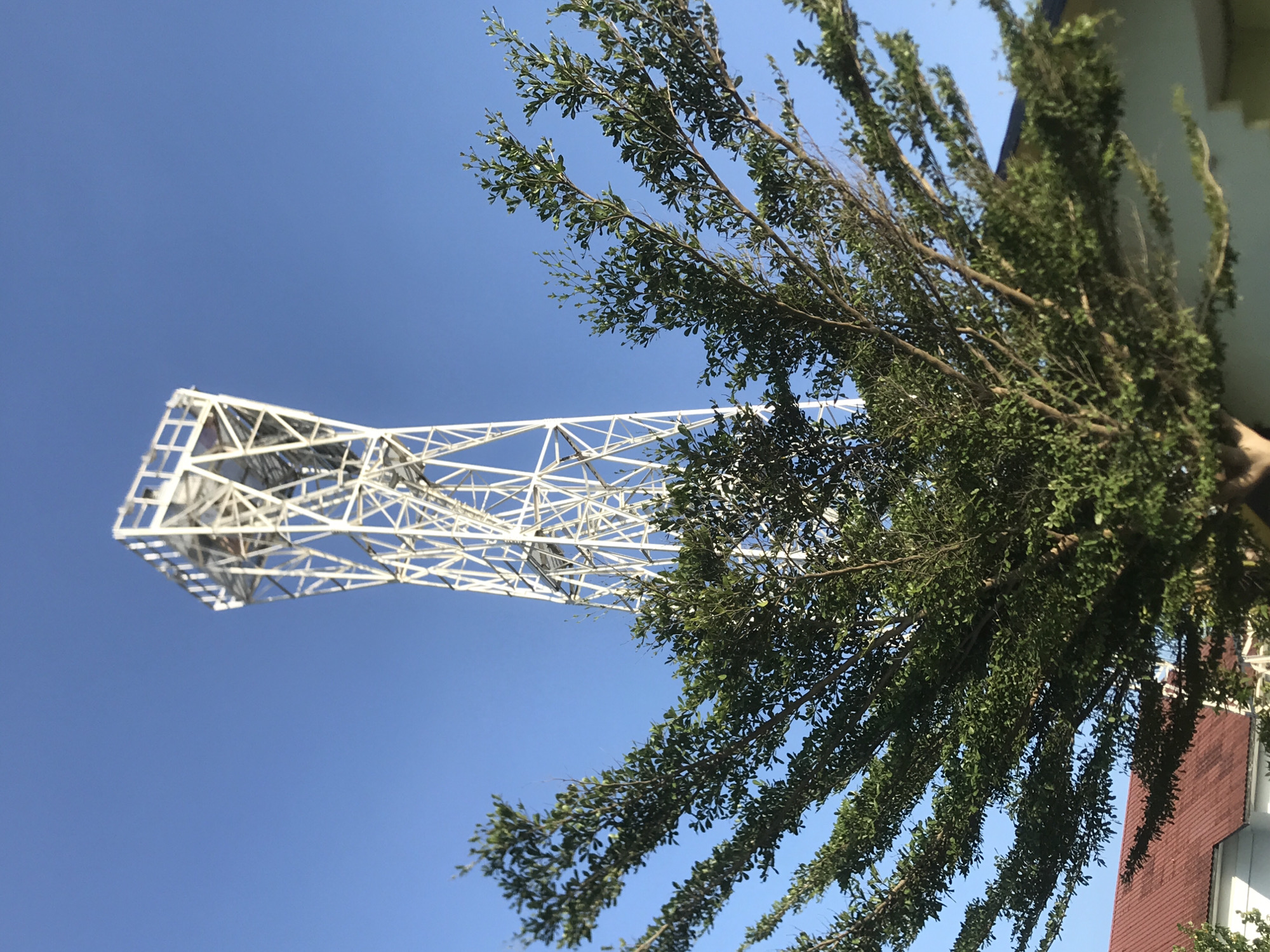 The image captures a view of the PT Arun gas tower in Lhokseumawe, Indonesia, framed against a clear blue sky. A tree with dense green foliage partially obscures the tower and the corner of a building. The tower is constructed of white lattice-like metal. The photograph appears to have been taken from a low angle, looking upwards toward the tower.