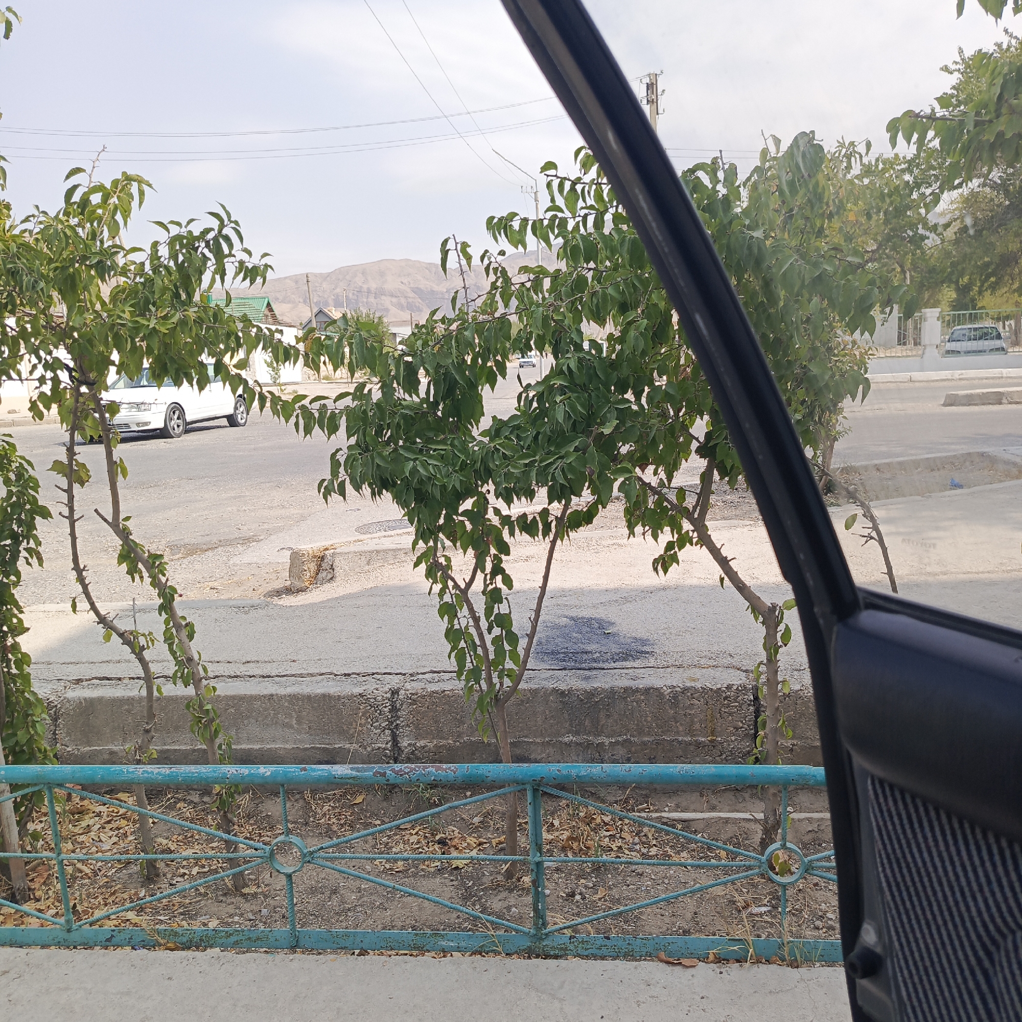 The image depicts a view from inside a vehicle, looking out through the open door frame at a street scene in Balkanabat City, Turkmenistan. The foreground is dominated by the black interior of the car door and a portion of the car's interior paneling. Outside the vehicle, a turquoise metal fence runs horizontally across the lower part of the frame. Behind the fence are several small, sparsely leafed trees with thin branches. The ground behind the fence is covered in dry leaves and dirt, with a concrete curb and asphalt road beyond.
On the road, a white sedan is visible, parked or driving. Further in the background, there are buildings with green roofs and other structures, suggesting a residential or commercial area. In the distance, a range of barren, brown hills forms the horizon under a pale sky. Overhead, power lines are strung between poles, indicating the presence of infrastructure. The overall impression is of a sunlit, somewhat arid urban environment. There are no people visible in the scene.
