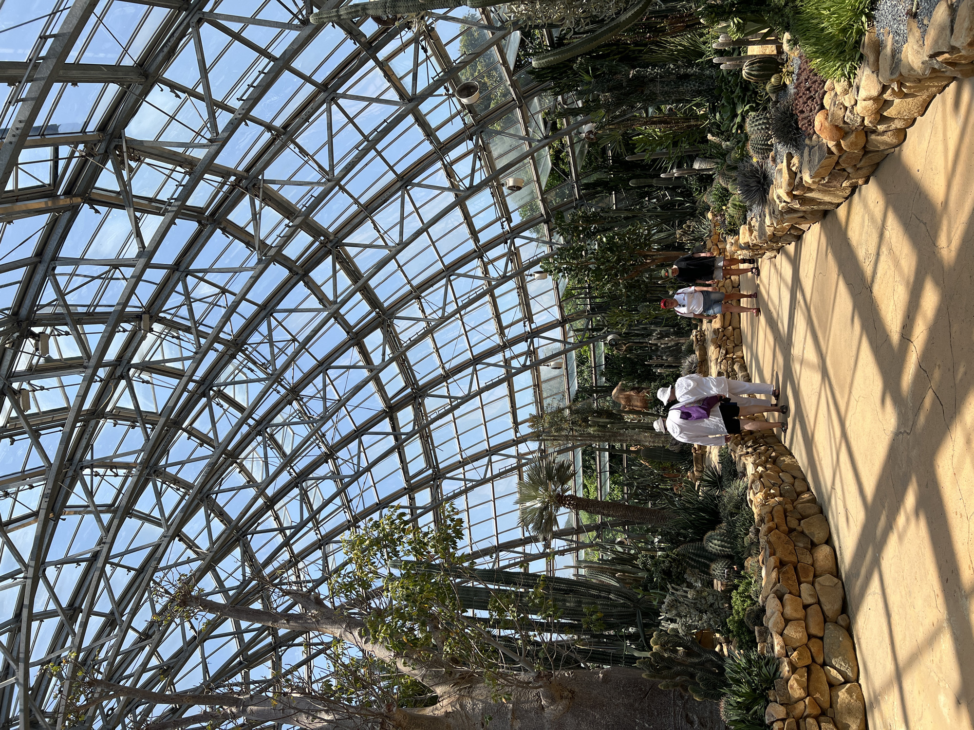 The image captures a scene inside a glass-domed structure, likely a botanical garden or greenhouse, in Nha Trang, Vietnam. The complex steel framework supports a grid of glass panels allowing ample natural light to illuminate the interior.
Inside, the environment is a curated landscape featuring various cacti and succulents, bordering a paved walkway. Several people are present, some strolling along the path. The landscaping incorporates decorative rock formations.