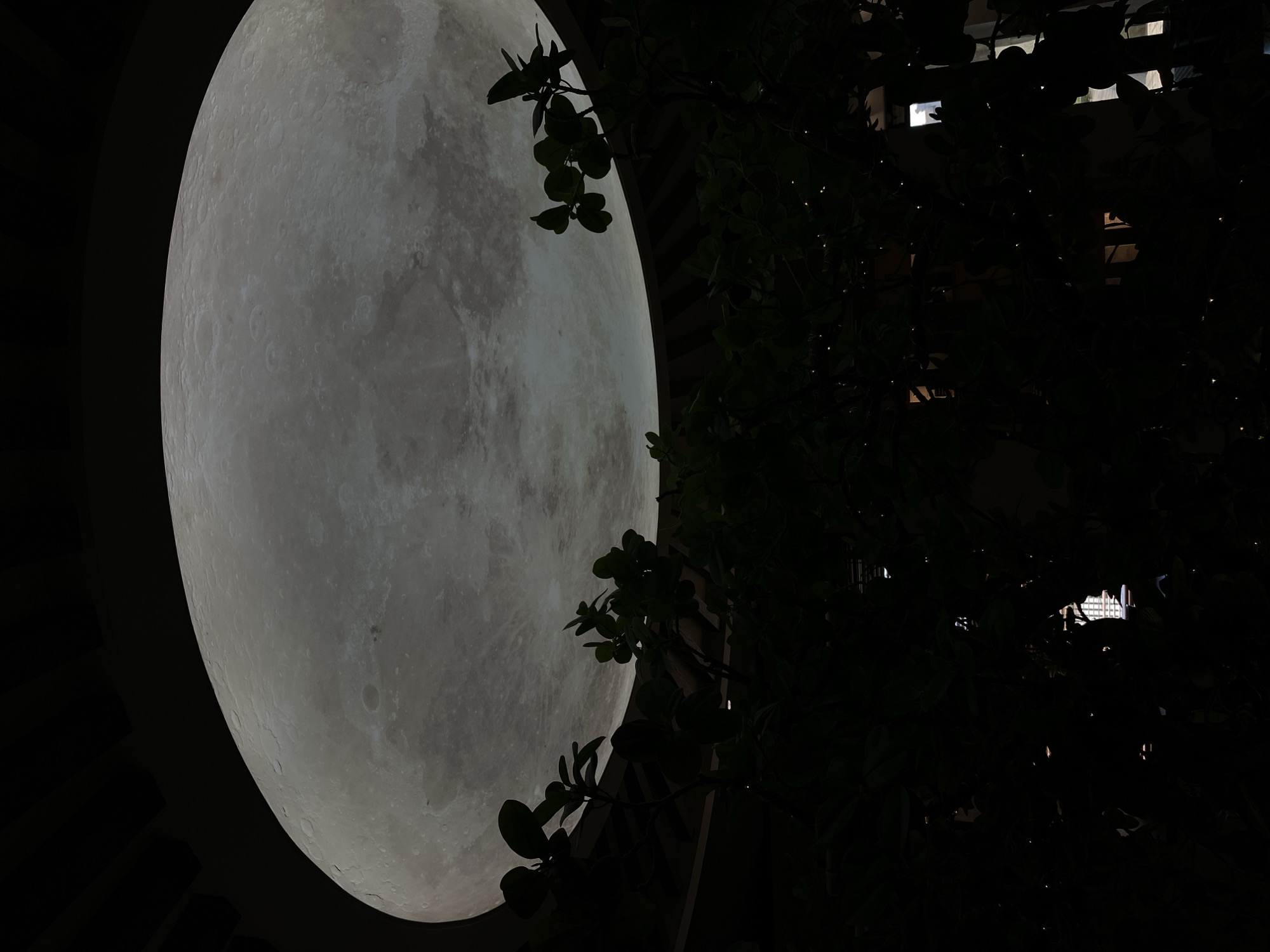 The image shows a large, illuminated sphere resembling the moon, partially obscured by dark foliage. In the background, faint lights suggest a building or cityscape. The location is likely Votkinsk, Russia, but there is no definitive evidence within the image to confirm this. There are no people visible in the image.