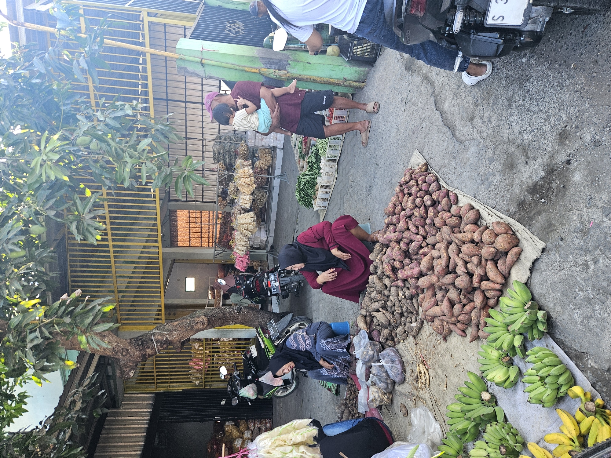 This image depicts a street market scene in Perak, Indonesia, likely on a sunny day with some dappled light filtering through trees. A large tree with a thick trunk and full foliage is prominent in the center-left of the frame. In the foreground, a variety of produce is laid out on the ground. Piles of sweet potatoes, both reddish-brown and some lighter brown varieties, are a dominant feature. Bunches of green bananas and some yellowing bananas are arranged on a cloth. Scattered amongst the produce are plastic bags containing what appear to be roots or tubers.
Two women are seated on the ground, attending to the produce. The woman on the left wears a dark blue headscarf and a patterned blue tunic. The woman on the right wears a dark red headscarf and a matching red dress, and she is sitting on a low blue stool.
In the mid-ground, a man wearing a pink cap, a maroon t-shirt, and black shorts is holding a young child, who is wearing a striped t-shirt and light blue shorts. The man is looking away from the camera. Behind them, various stalls and shops are visible, with metal shelving displaying goods that appear to be dried food products. Several motorcycles are parked around the market area. In the background, there is a building with yellow metal grating and a light-colored roof.
To the far right, a person on a motorcycle is partially visible from the back, wearing a white t-shirt and blue jeans, with their right leg resting on the motorcycle. The license plate of the motorcycle is partially visible, showing "S 3". The ground is paved and appears somewhat worn and wet in places. The overall atmosphere suggests a typical, busy local market.