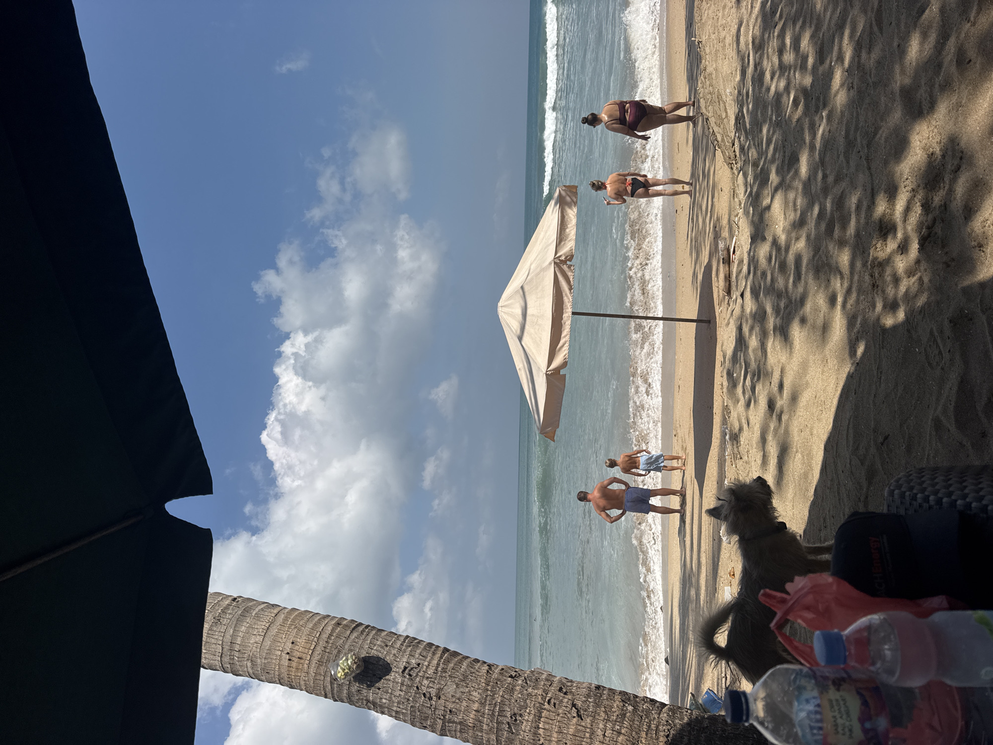 The image depicts a tropical beach scene in Kuta, Indonesia, under a clear blue sky with scattered white clouds. In the foreground, a palm tree stands on the left, and a large dark umbrella casts a shadow over the sandy beach. In front of the palm tree, a small, shaggy brown dog is visible, along with two plastic water bottles and a red bag.
Further down the beach, near the water's edge, four individuals are present. Two adults, a man and a young boy, stand facing the ocean. The man is wearing blue swim trunks, and the boy is in light blue swim trunks. To their right, two adult women are also facing the ocean, both wearing bikinis. One woman is in a black bikini, and the other is in a burgundy bikini. A light-colored beach umbrella is positioned between the two pairs of individuals.
The ocean exhibits moderate waves with whitecaps, indicating active surf. The sand is light brown, and the water appears clear. The overall atmosphere is one of a relaxed beach day.