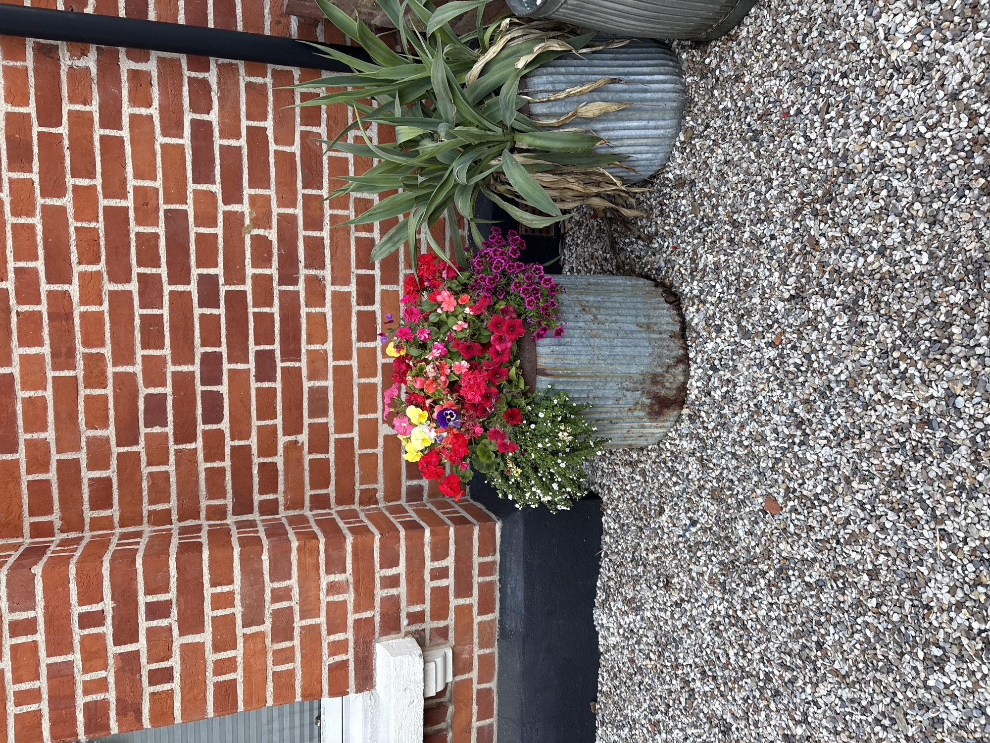 The image depicts an exterior scene with a brick wall as the background. In the foreground, a gravel-covered ground leads to several potted plants. The plants are housed in weathered, galvanized metal planters. One planter is filled with a colorful arrangement of flowers, including red, pink, yellow, and purple varieties. Another planter contains a tall, spiky green plant with some dried, brown lower leaves. A dark vertical pipe runs along the right side of the brick wall. A white window sill is visible on the left side of the image, partially obscured by the brickwork. The scene appears to be located in Chelmsford, United Kingdom. There are no people or animals visible in the image.