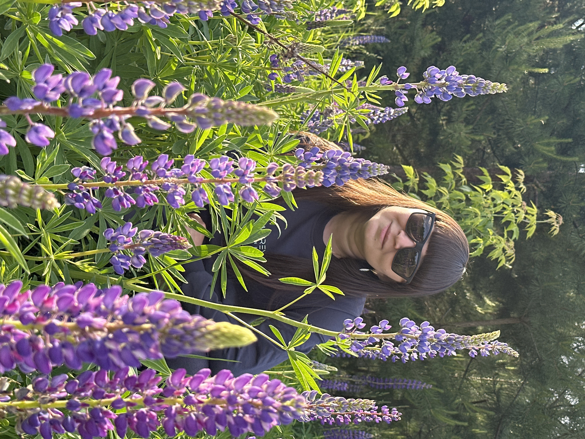A woman wearing dark sunglasses and a dark long-sleeved shirt is standing in a field of purple lupine flowers. The flowers are in the foreground and midground, partially obscuring the woman. Behind her, there's greenery, possibly trees. The location is Chaikovsky, Russia.