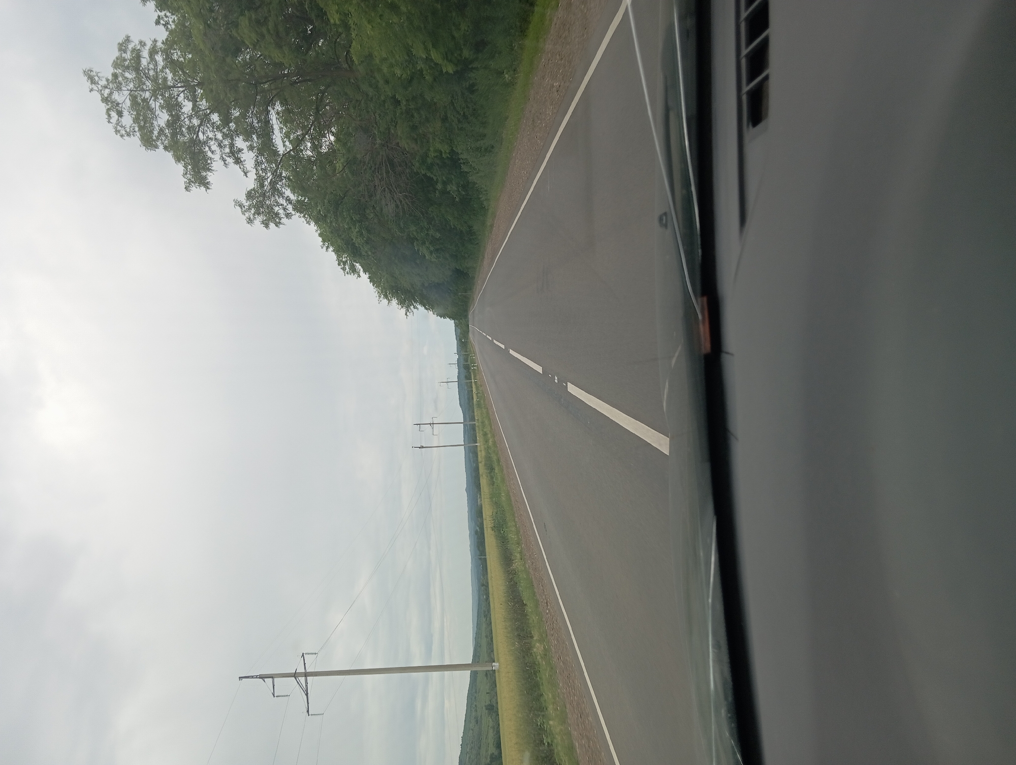 The image depicts a road view from inside a vehicle, looking forward. The road is asphalt with white dividing lines, and it curves slightly to the right. On the left side of the road, there is a field of yellow crops and rolling hills in the distance. Power lines on tall poles run along the left side of the road, extending into the distance. On the right side of the road, there is a dense forest with tall green trees. The sky is overcast with gray clouds. The foreground shows the dashboard and windshield of the vehicle. The location is identified as Otradnaya, Russia.