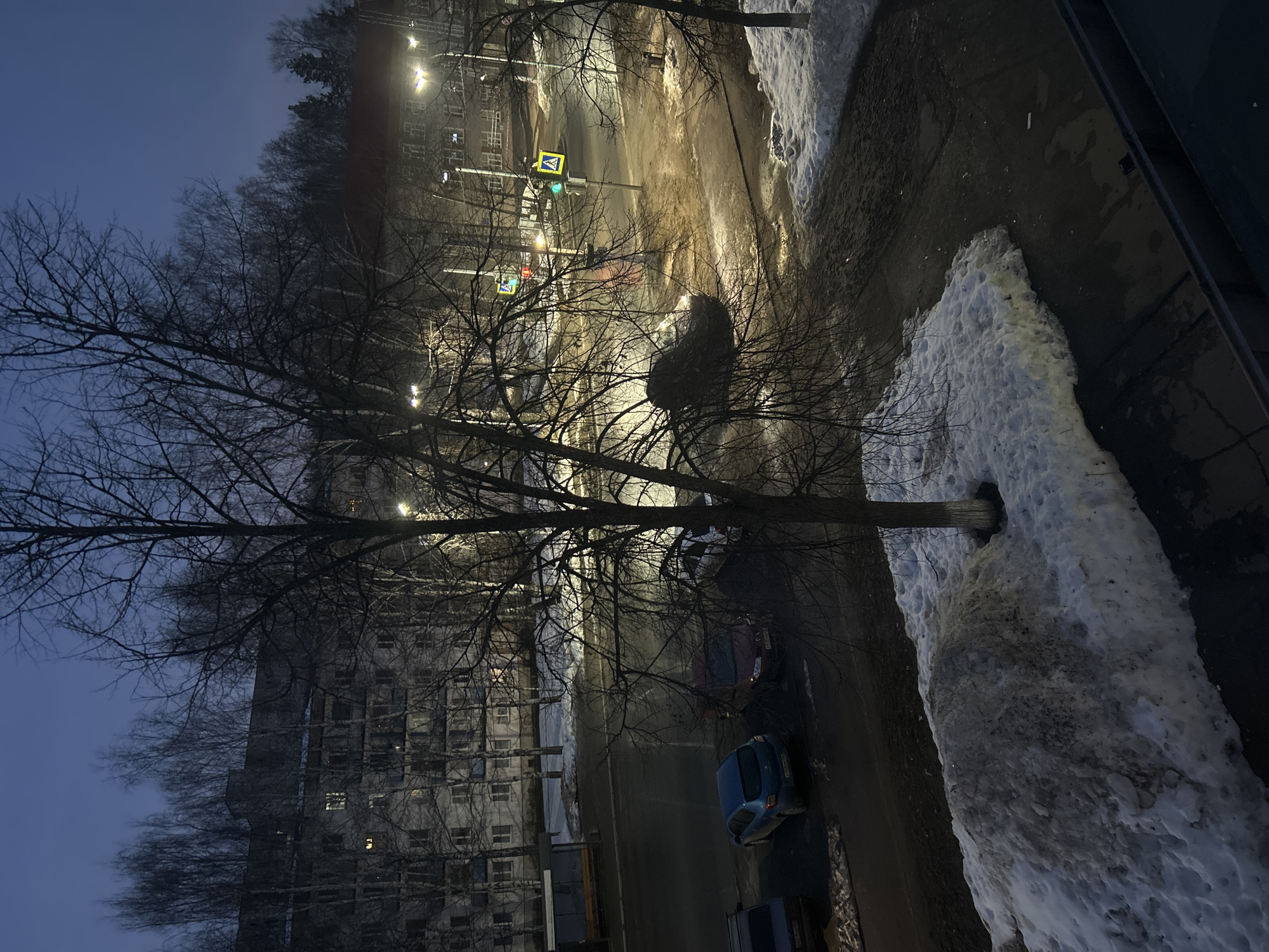 This image depicts an urban street scene in Chaikovsky, Russia, at dusk or early night. The elevated perspective overlooks a street lined with multi-story buildings and bare deciduous trees, indicating a late winter or early spring environment.
In the immediate foreground, a dark, prominent tree, devoid of foliage, stands centrally. Below it, patches of snow, some discolored with dirt and debris, cover the ground. A substantial, dirty snowdrift is visible at the base of the central tree.
The midground features a wet asphalt street, reflecting the light from active streetlights. Four vehicles are visible: a dark blue hatchback and a dark red sedan are parked on the right side of the street, while a dark sedan and another dark vehicle are parked on the left. A bus stop shelter with a light-colored bench is situated on the far left of the street. Further along the street, a pedestrian crossing is marked on the asphalt, accompanied by a bright yellow pedestrian crossing sign mounted on a pole. Traffic lights are active, displaying green for vehicles and pedestrians.
In the background, multiple multi-story buildings, likely residential, stretch across the scene; some windows exhibit interior illumination. Beyond these structures, a dense line of trees, including both bare deciduous and darker evergreen species, forms the horizon against a dark blue sky. No individuals are visible in the scene.