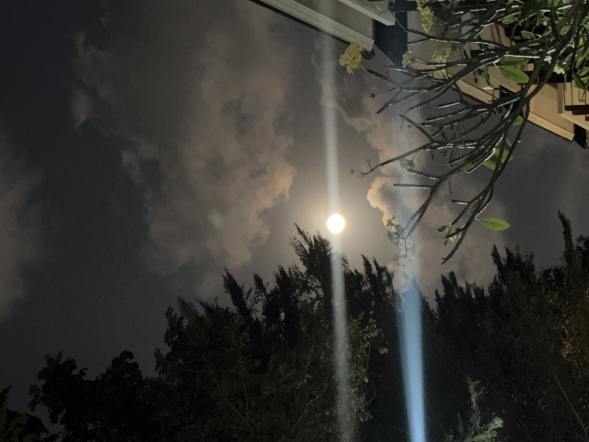 A nighttime, low-angle shot captures a bright full moon amidst scattered clouds. To the left, the dark silhouette of a pine tree dominates the frame, its branches sharp against the celestial backdrop. A strong horizontal beam of light, possibly from a streetlight or camera flash, bisects the image, passing through the moon and the pine tree. On the right, the corner of a building with a light-colored roof is visible, and a frangipani tree with sparse leaves and small yellow flowers is in the foreground. The overall scene is illuminated by the moon and artificial light sources.
