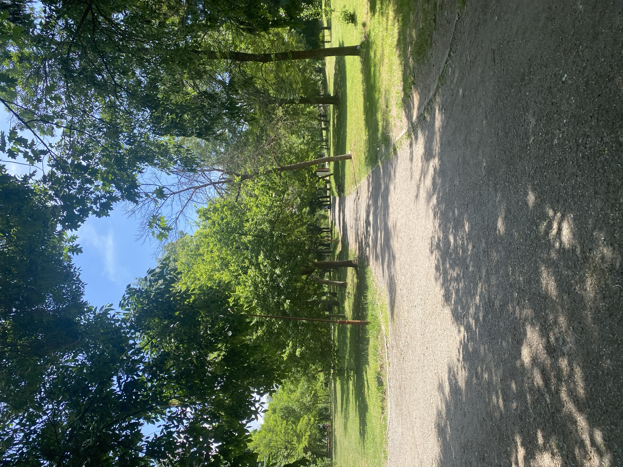 The image depicts a dirt path flanked by grassy areas and trees in what appears to be a park or natural setting. The path takes up much of the right side of the frame and is covered in dappled sunlight and shadows. The left side of the image features dense trees. The sky is visible through the tree canopy. The location is Blagoevgrad, Bulgaria. The image does not show any people. It is a landscape scene, and it is not possible to determine anything about actions or interactions from the image alone. There are picnic tables under the trees in the distance.