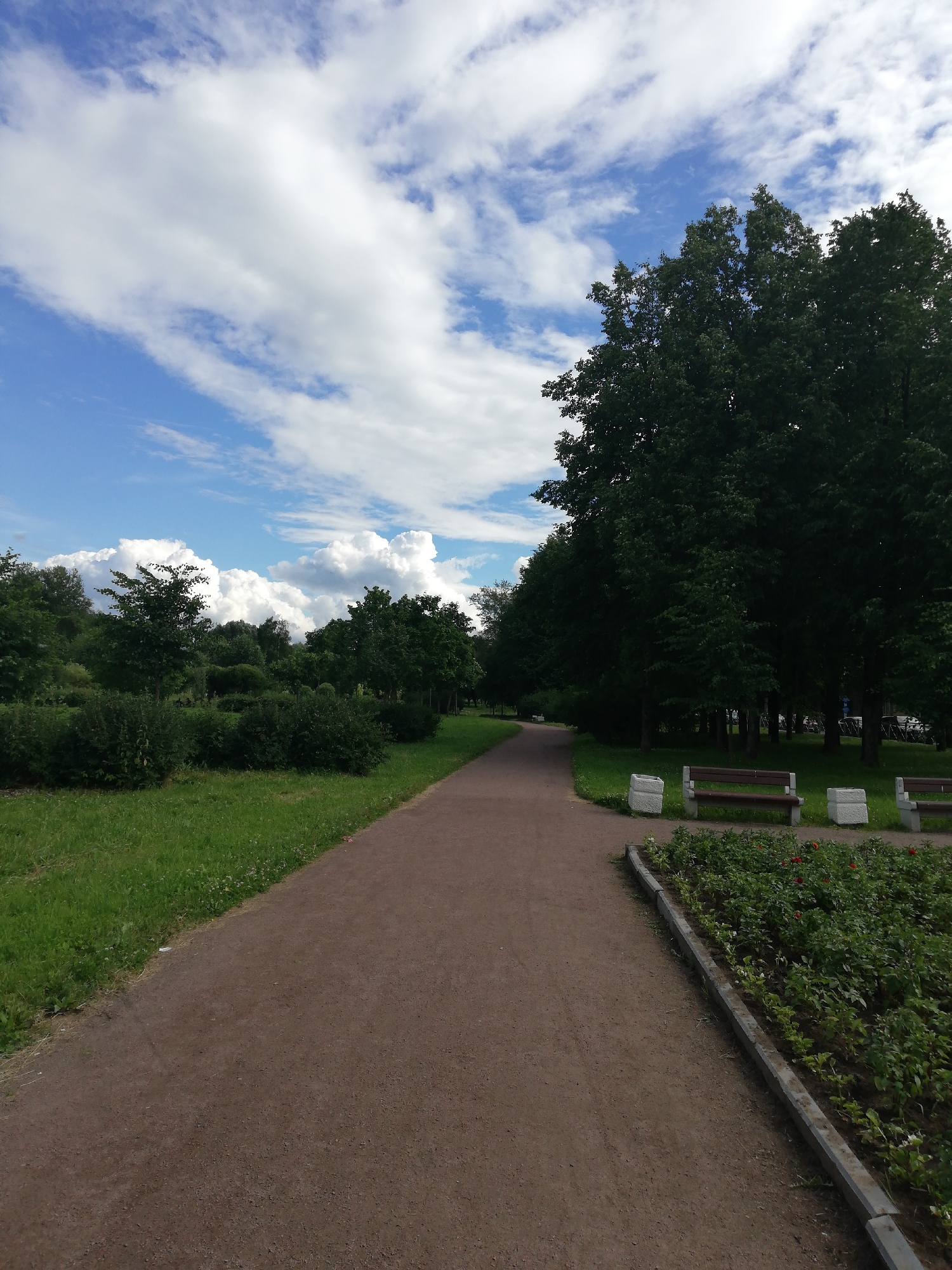 The image depicts a park scene in Kolpino, Russia, on a cloudy day with patches of blue sky. A dirt pathway curves into the distance, flanked by a manicured lawn on the left and dense trees on the right. The trees form a thick canopy, suggesting a lush, green environment. Benches are placed along the pathway, indicating a public space designed for relaxation and recreation. A flowerbed, bordering the pathway on the right, is filled with green foliage and hints of red flowers. The overall atmosphere is peaceful and serene, characteristic of a pleasant day in a park. There are no people visible in the image, suggesting a quiet moment in the park. The time of day appears to be daytime, with diffused sunlight filtering through the clouds. The location is clearly identified as Kolpino, Russia. No visible text is present in the image.
